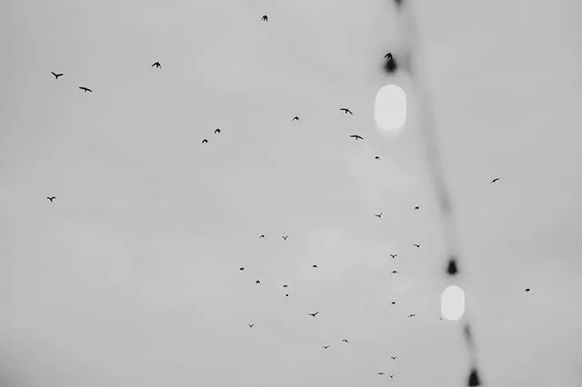 &ldquo;You can&rsquo;t keep the birds of sadness from flying over your head, but you can keep them from nesting in your hair.&rdquo; - Walk Two Moons by Sharon Creech.
Throw on your doc martens and your overalls, baybee. We&rsquo;re going back to 4t