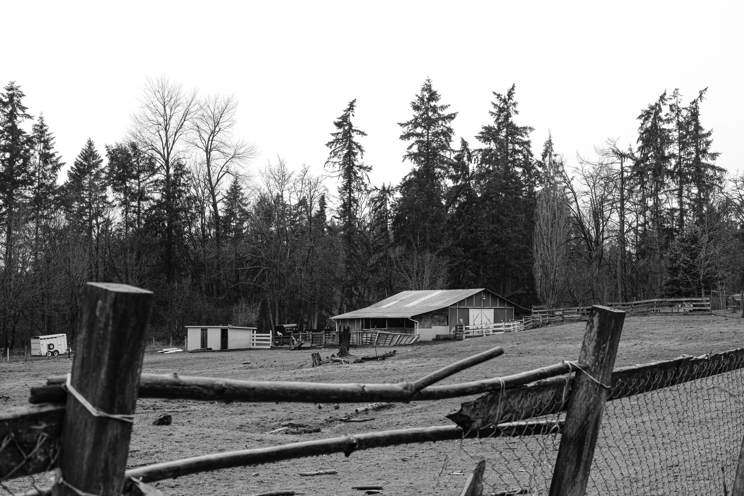 kkjordt_thetiesthatbind_bw-105.jpg