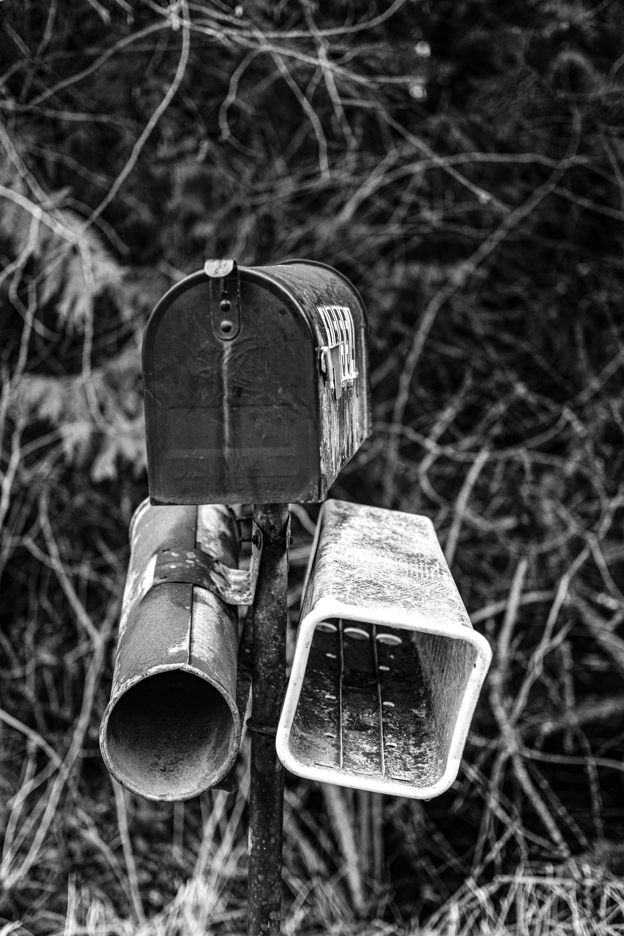 kkjordt_thetiesthatbind_bw-56.jpg