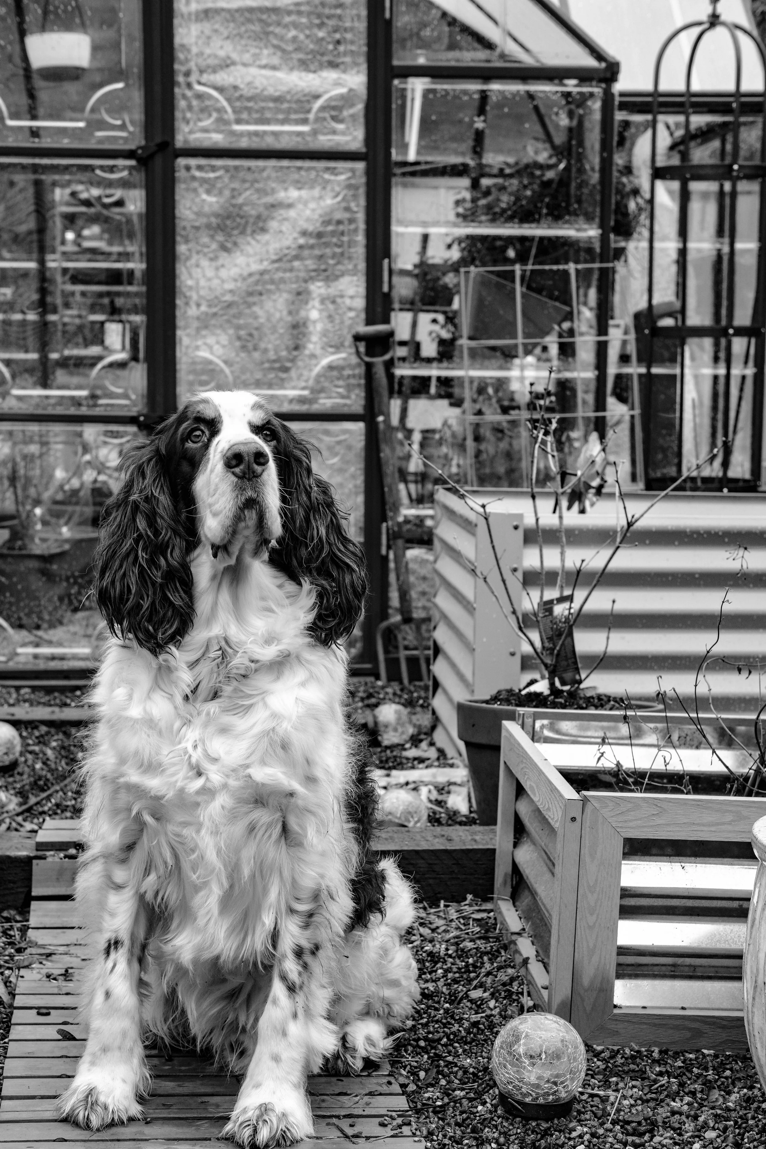 kkjordt_thetiesthatbind_bw-66.jpg