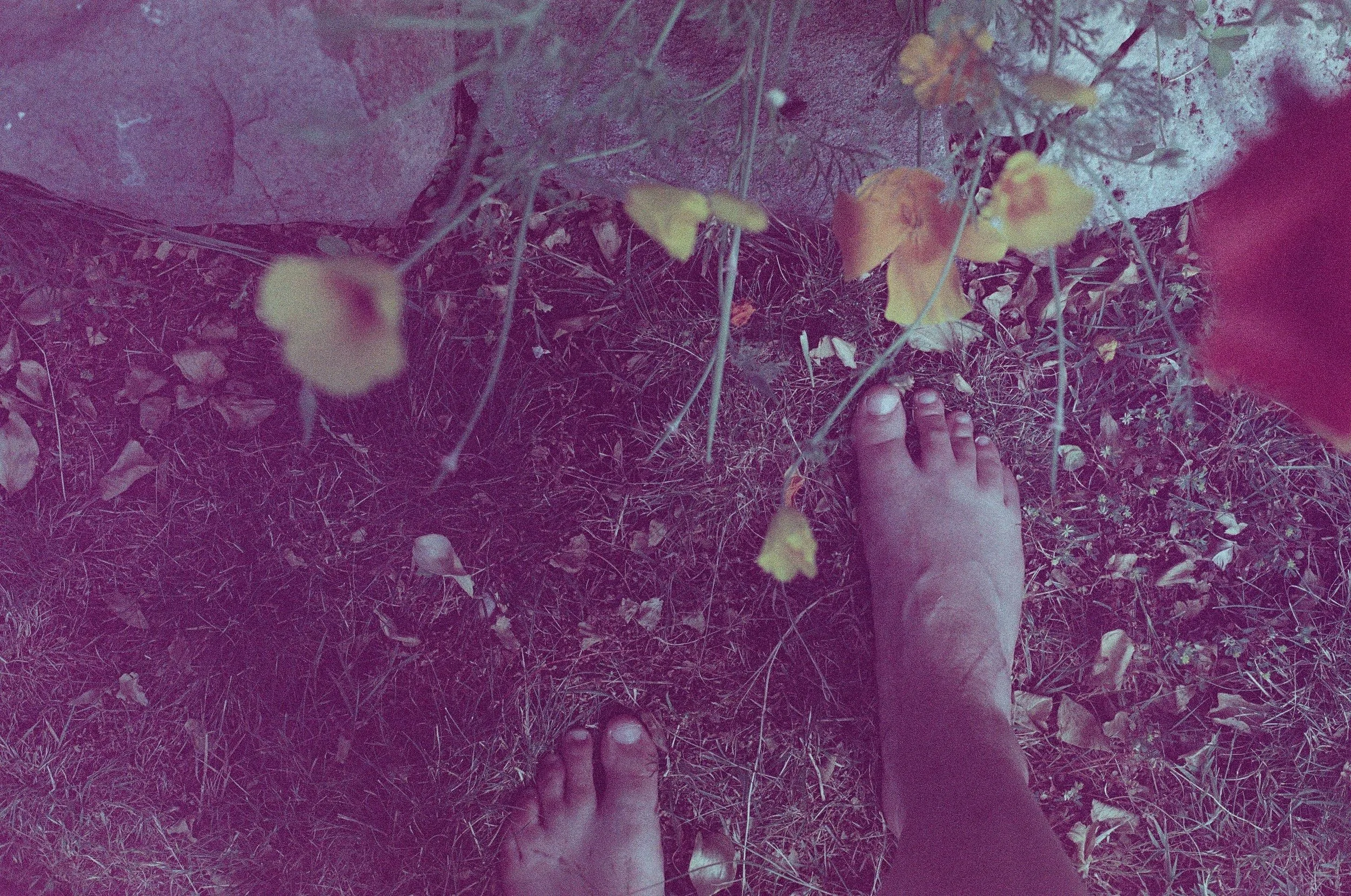 Scan84699.jpg