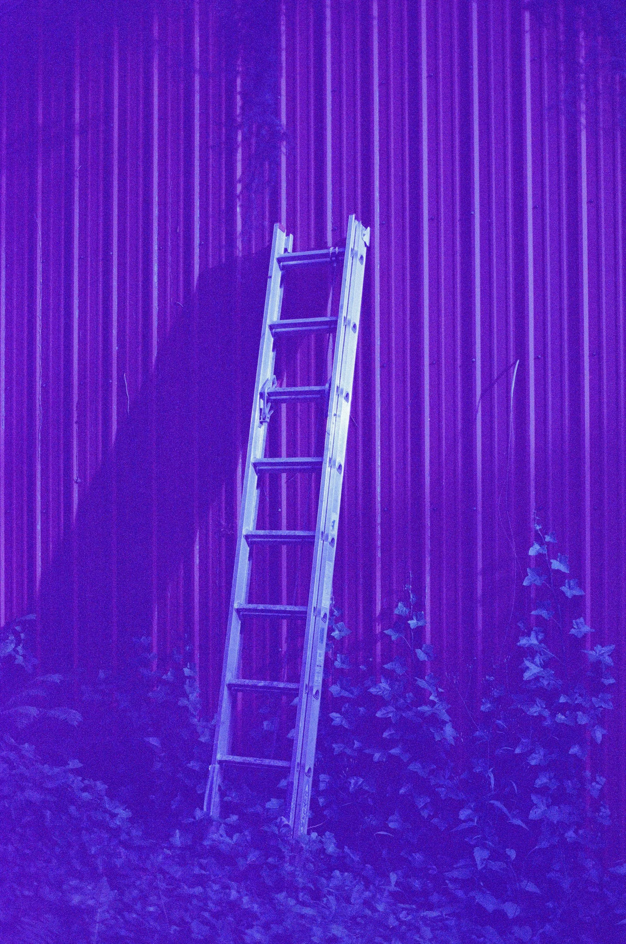 Scan51301.jpg