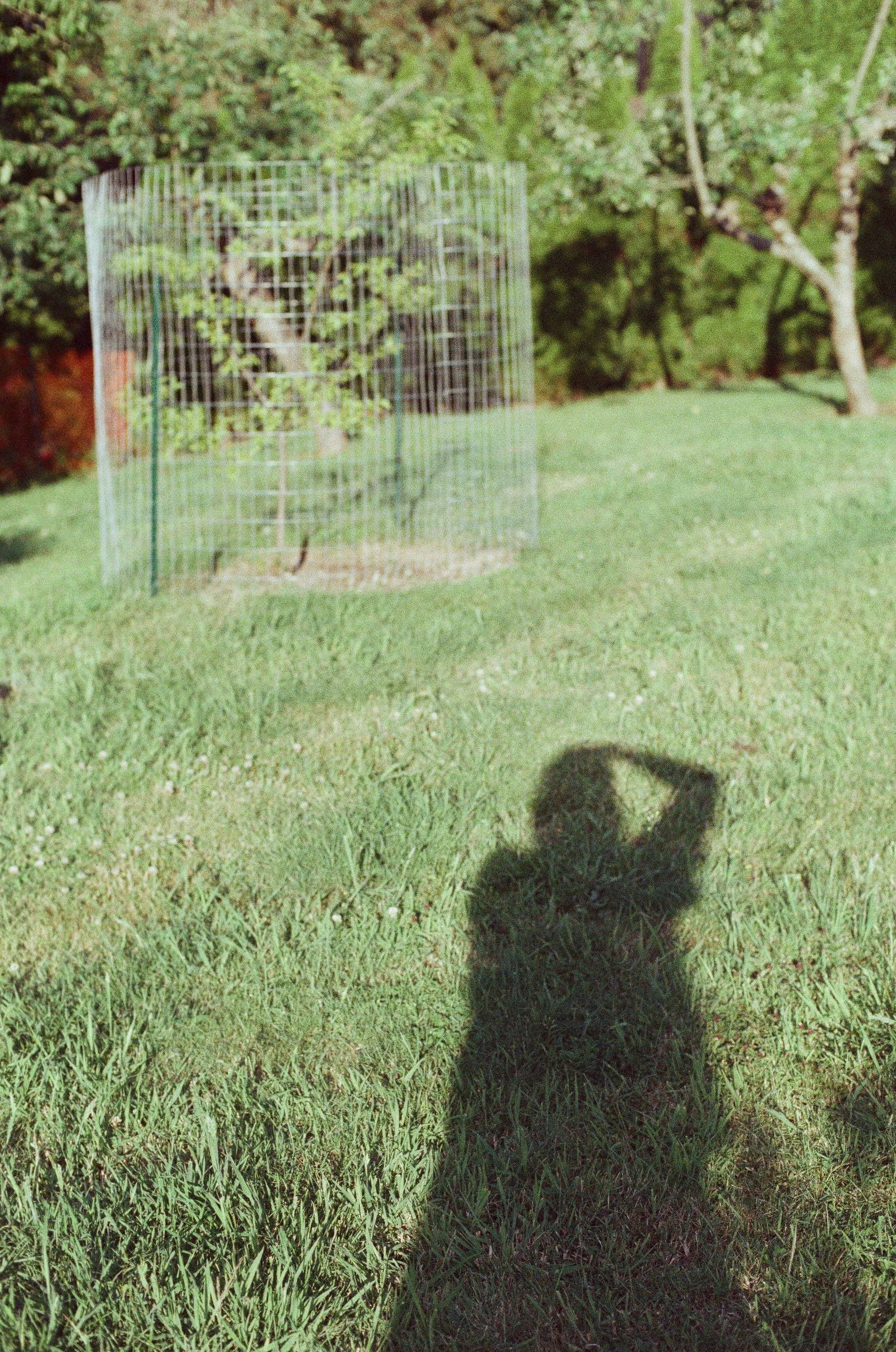 Scan51380.jpg
