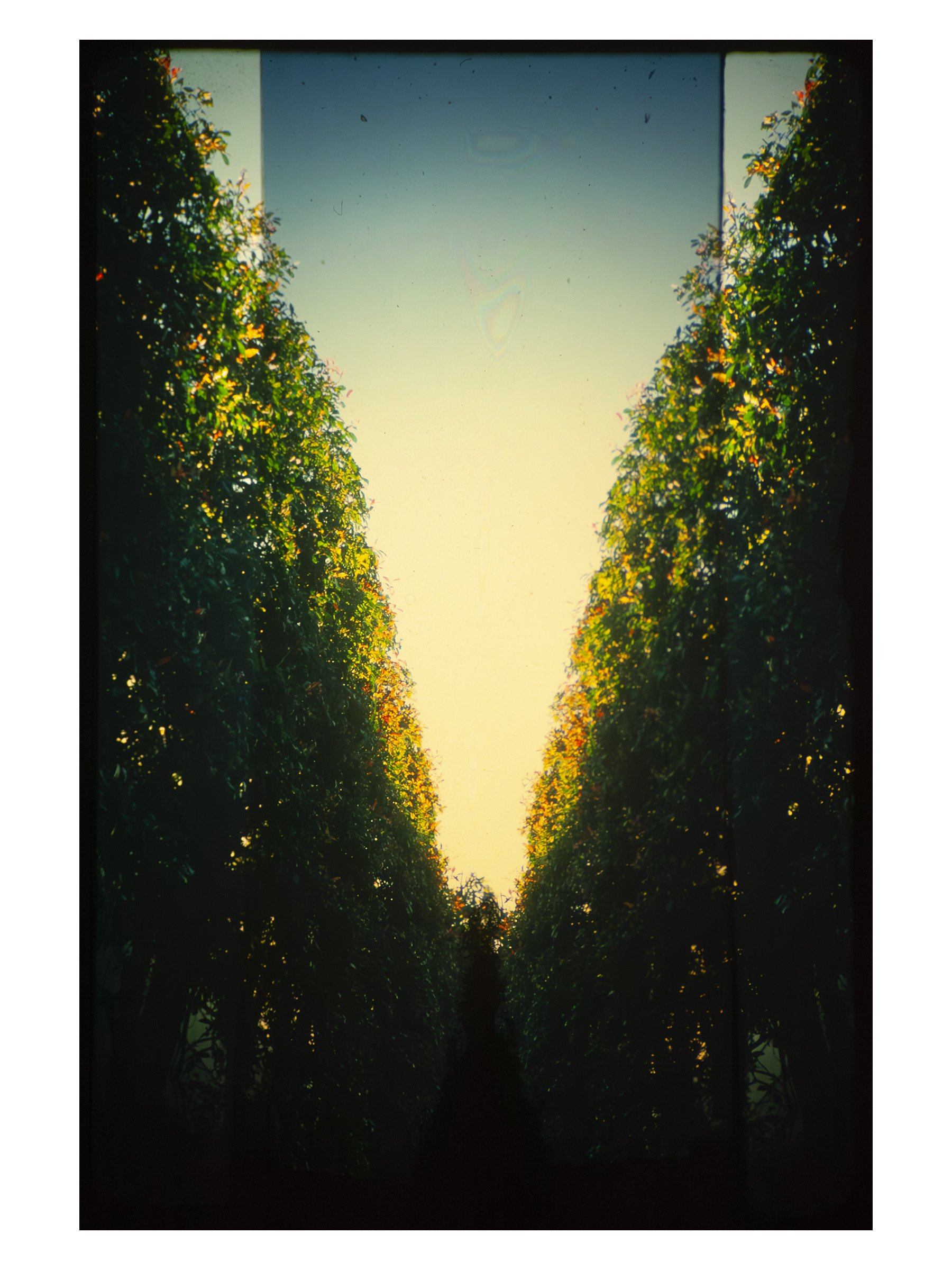 Gv3-53 (G Series, Vol.3)