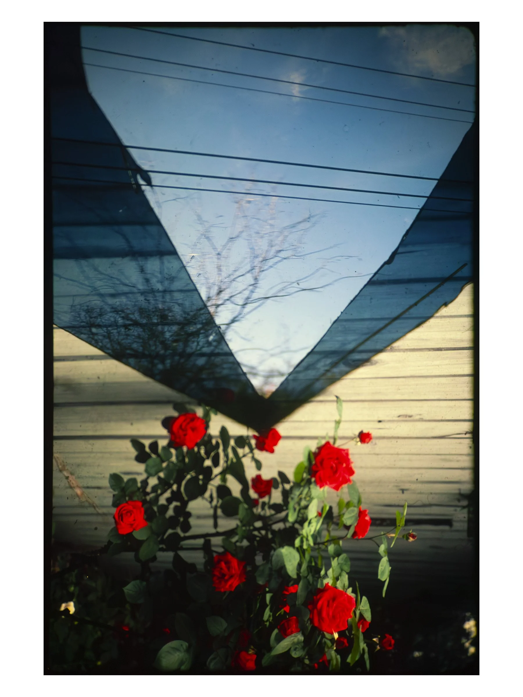 Fv3-99 (F Series. Vol.3)