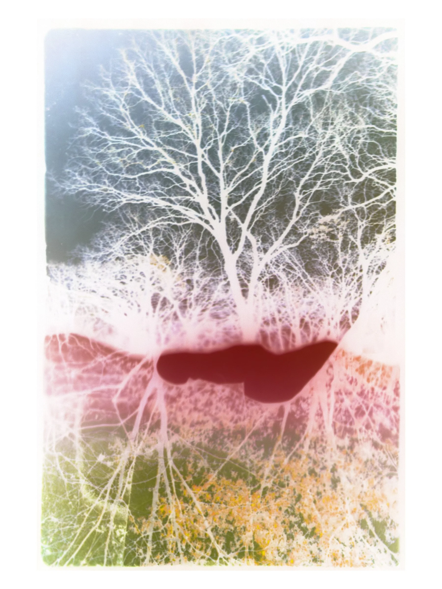 Hv3-165 H Series Vol.3)