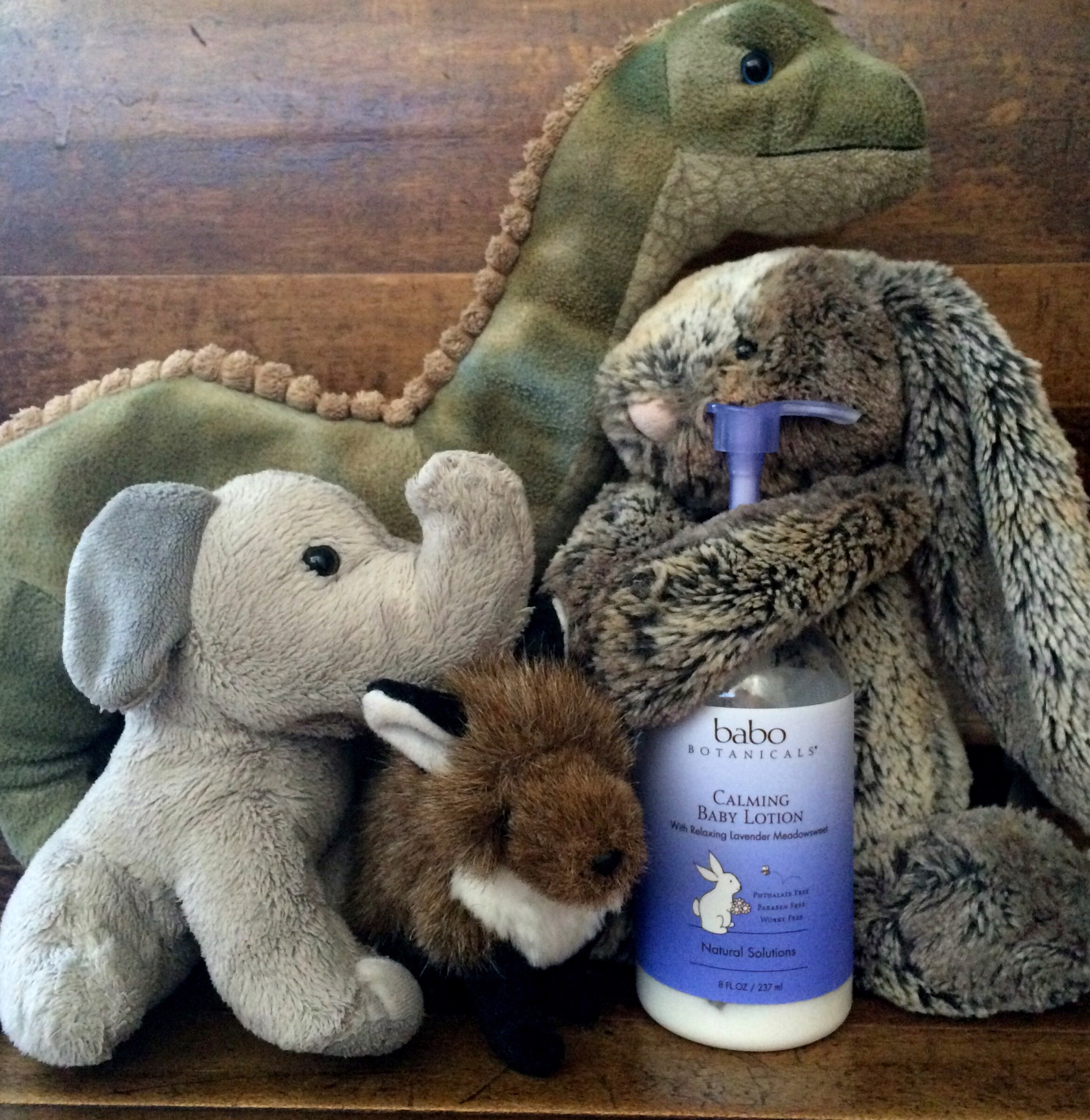Snuggly Dinosaur, Elephantie, Bunny, and Mr. Fox love Babo, too!