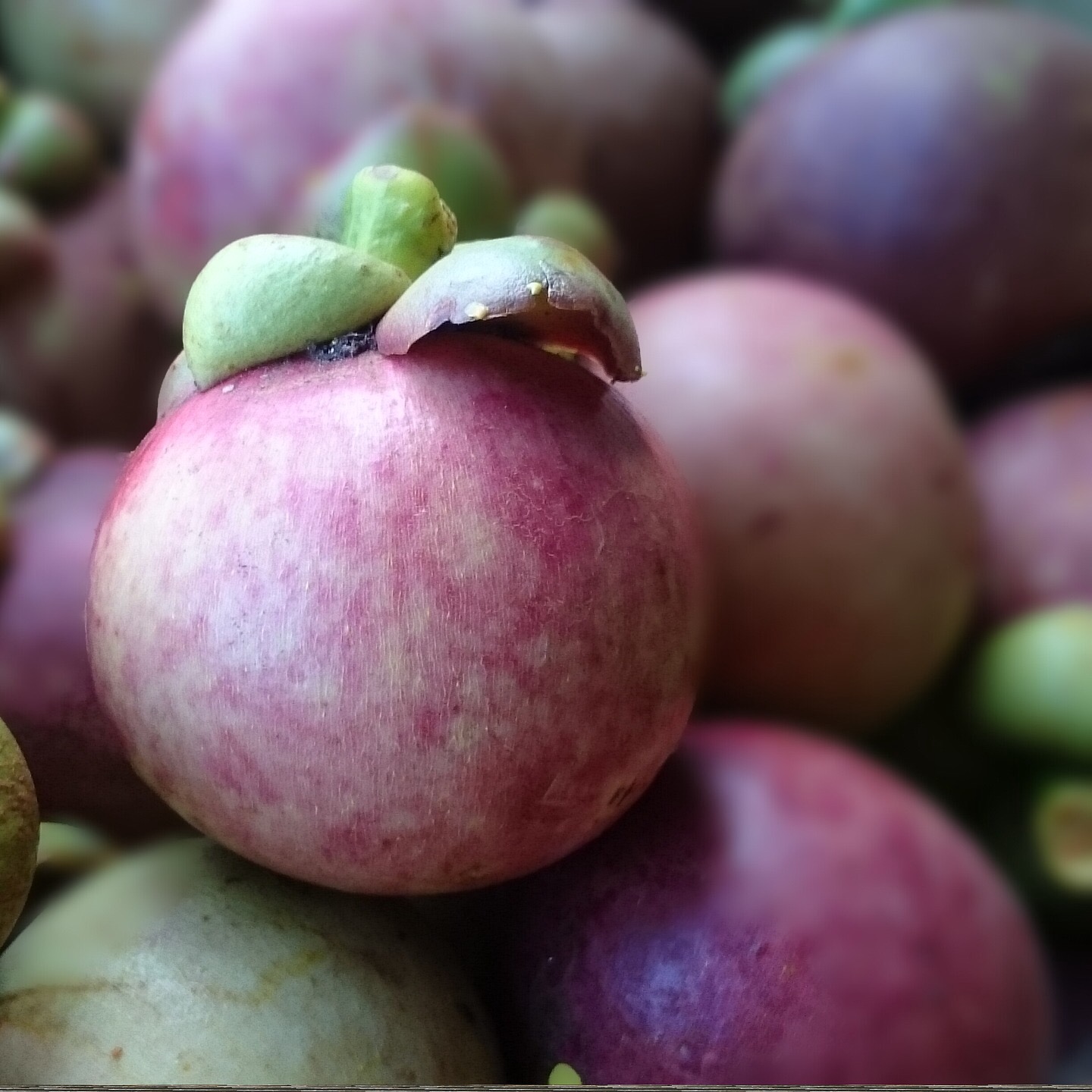 How gorgeous is this fruit?!
