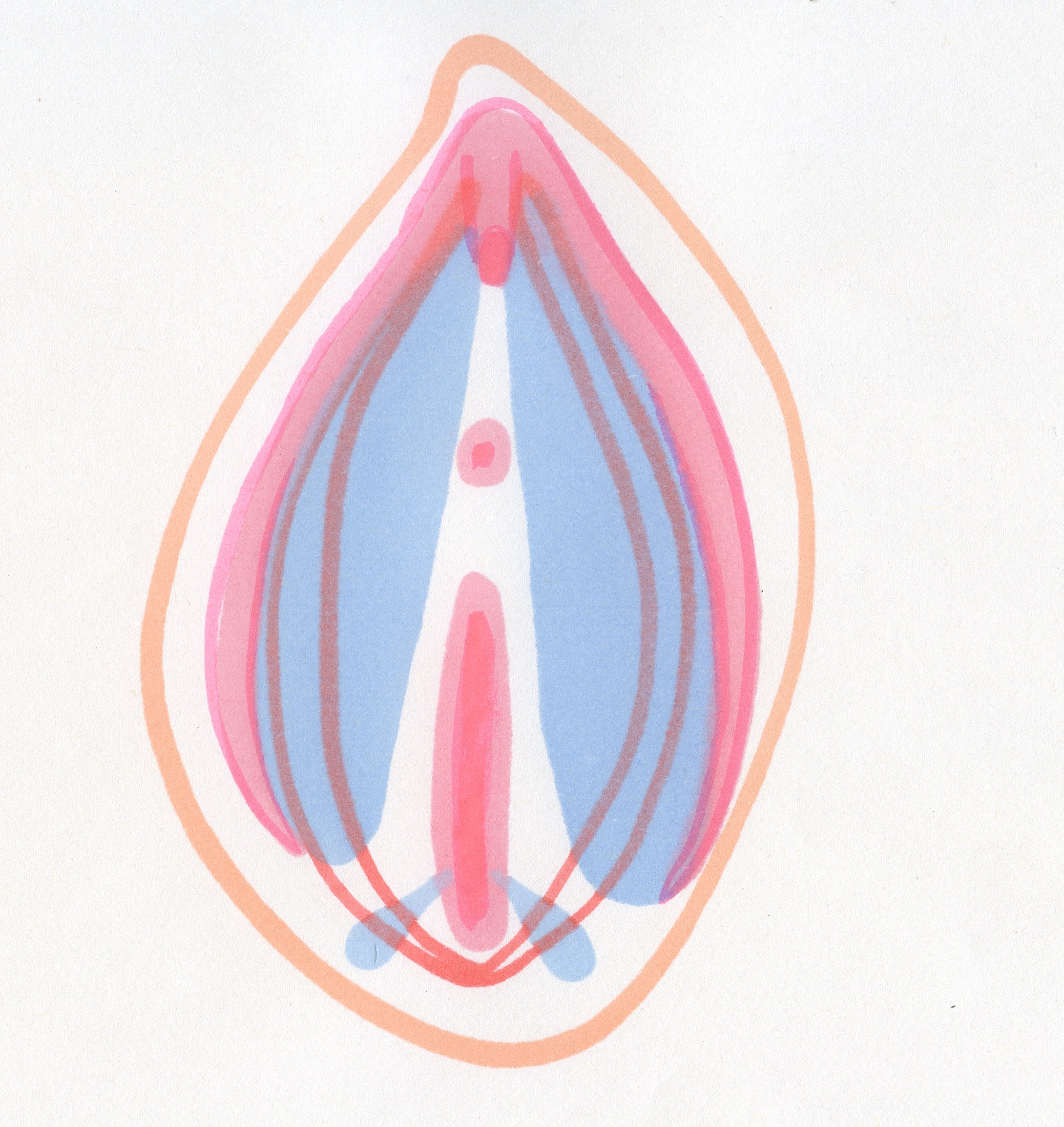 ODDO BODY Underwear -- Drawing for Manual on Anatomy of a Vagina