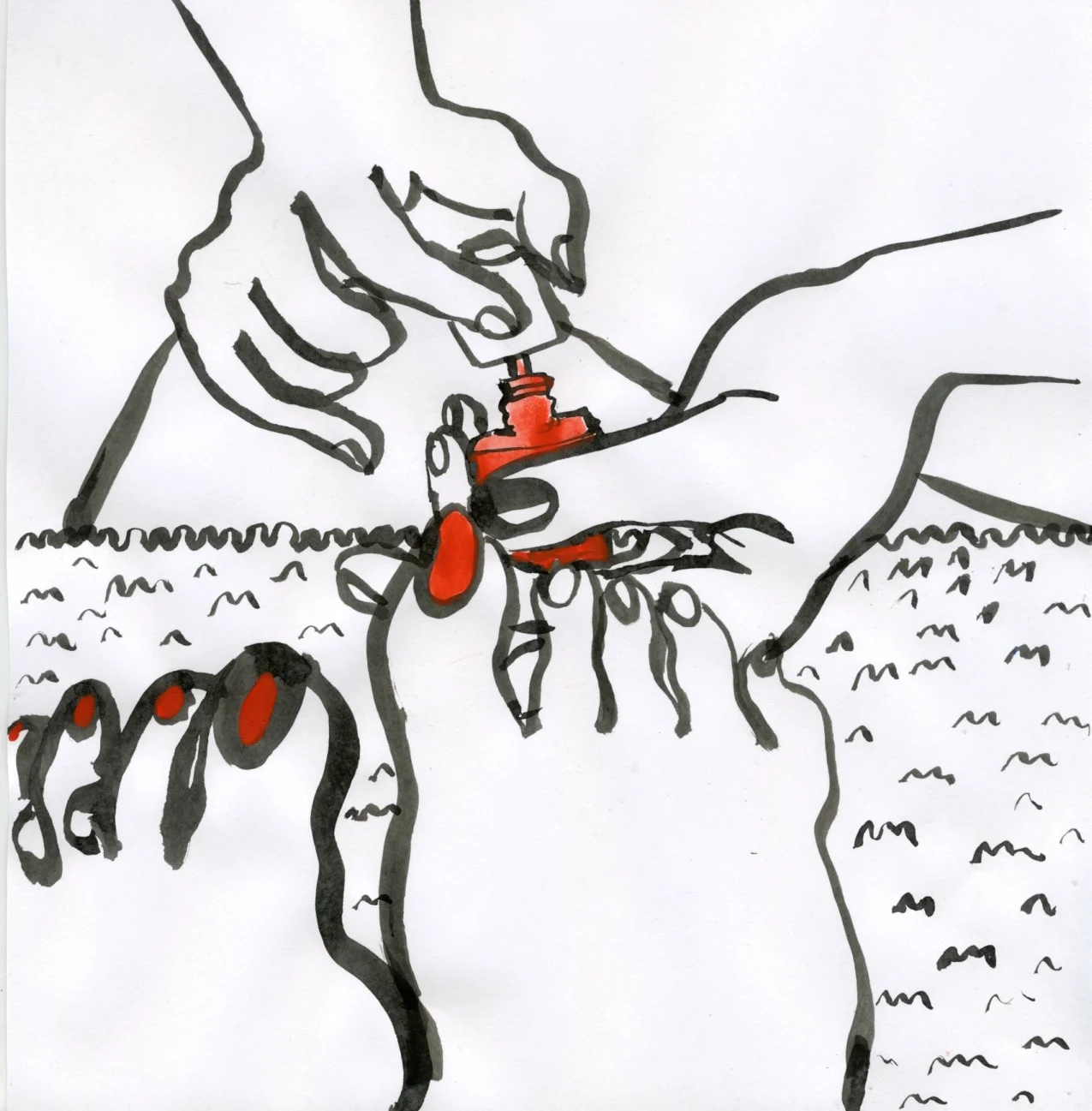 AguaViva_DESIGNING014.jpg