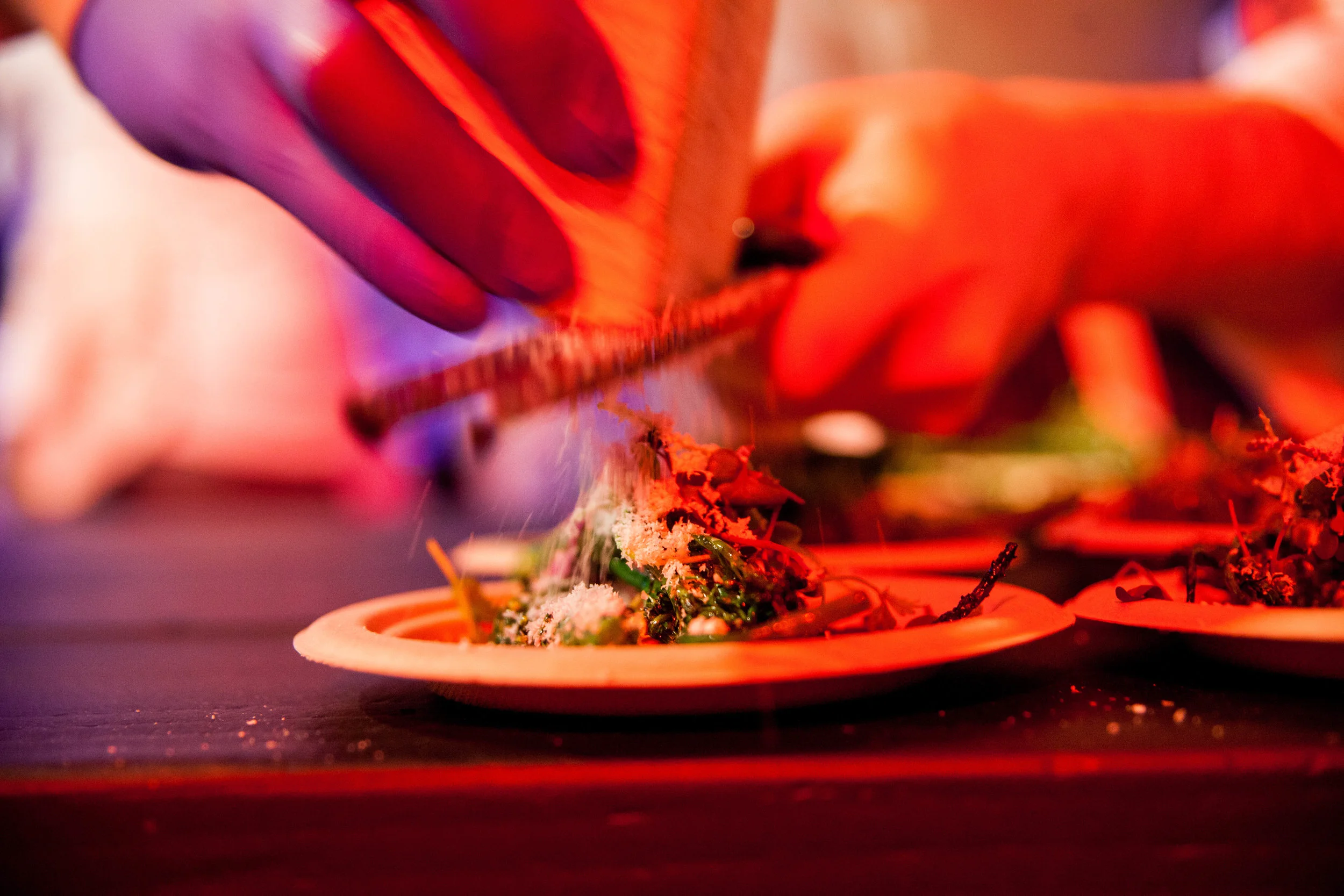 ASCC_GRILLCHILL_SELECTS-15.jpg