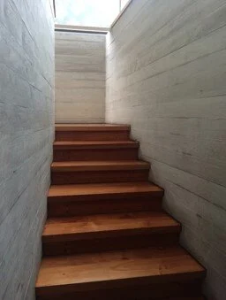 Imagen1.jpg