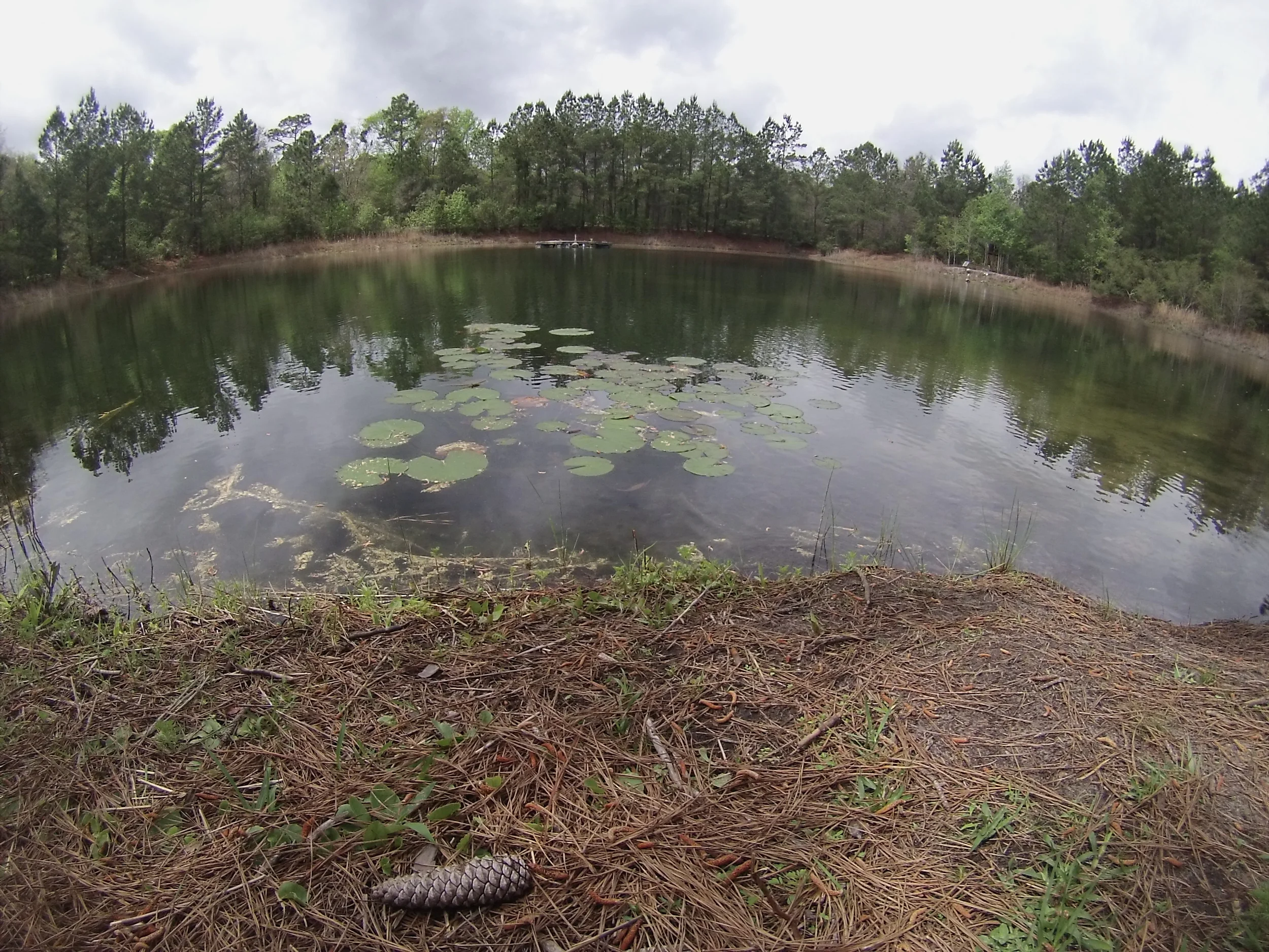 The Hostel in the Forest Day 2