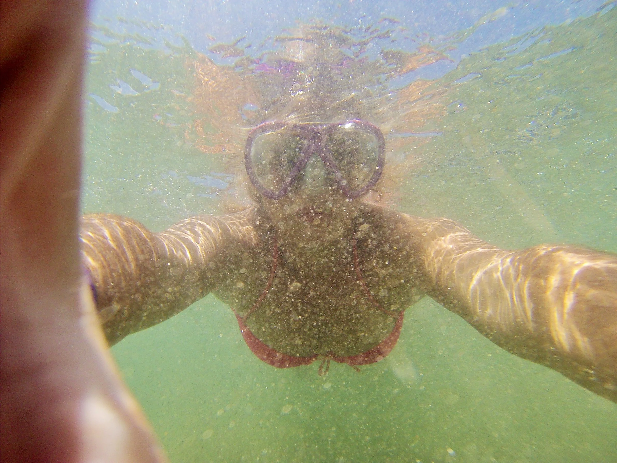 I didn't get any good pictures of the actual tour because it was so dark, but all of these photos were taken by me in Bocas Del Toro during the day.