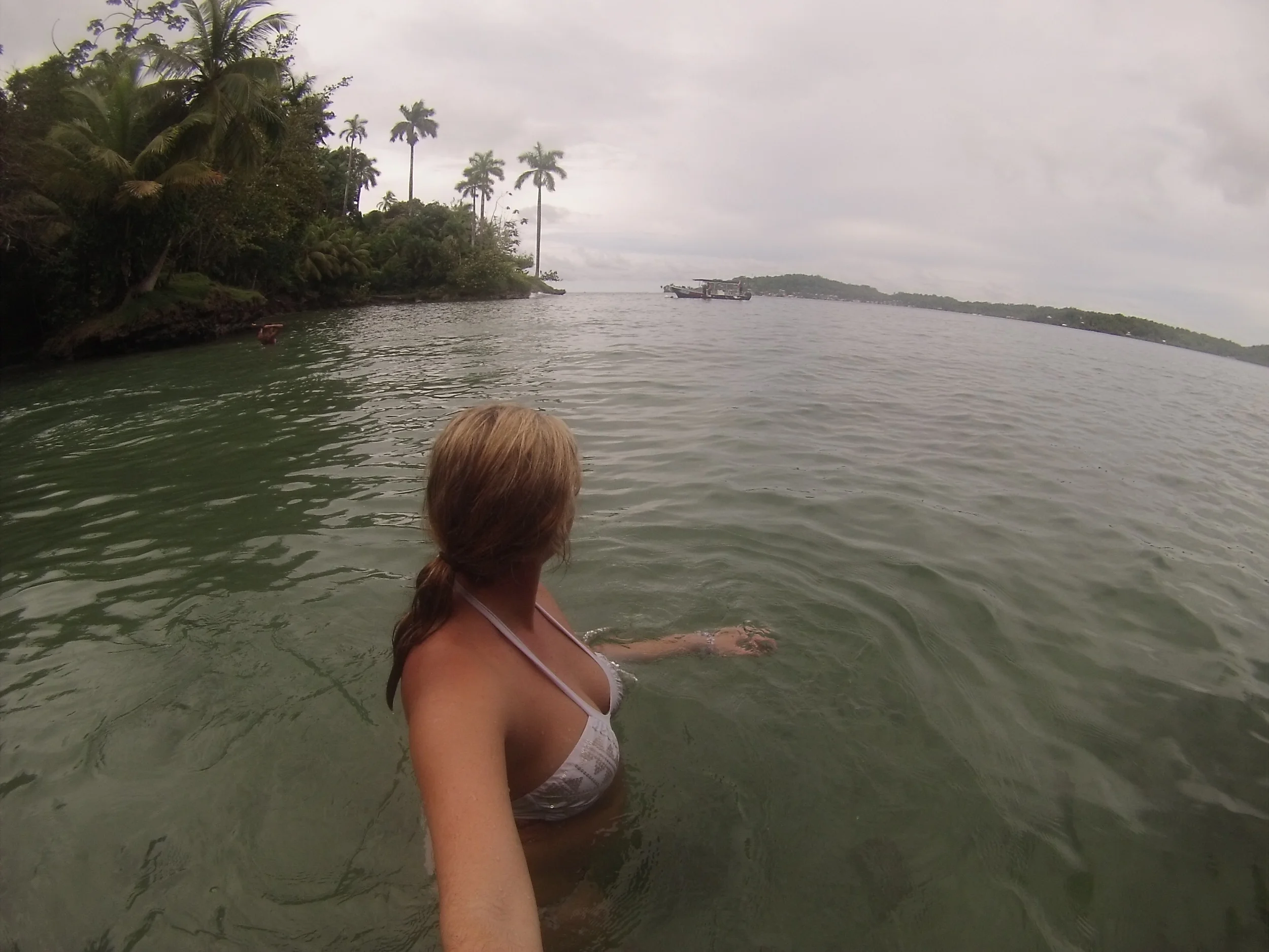 Sometimes Everythig Goes Wrong and it Makes Everything Right: 2015 in Retrospect