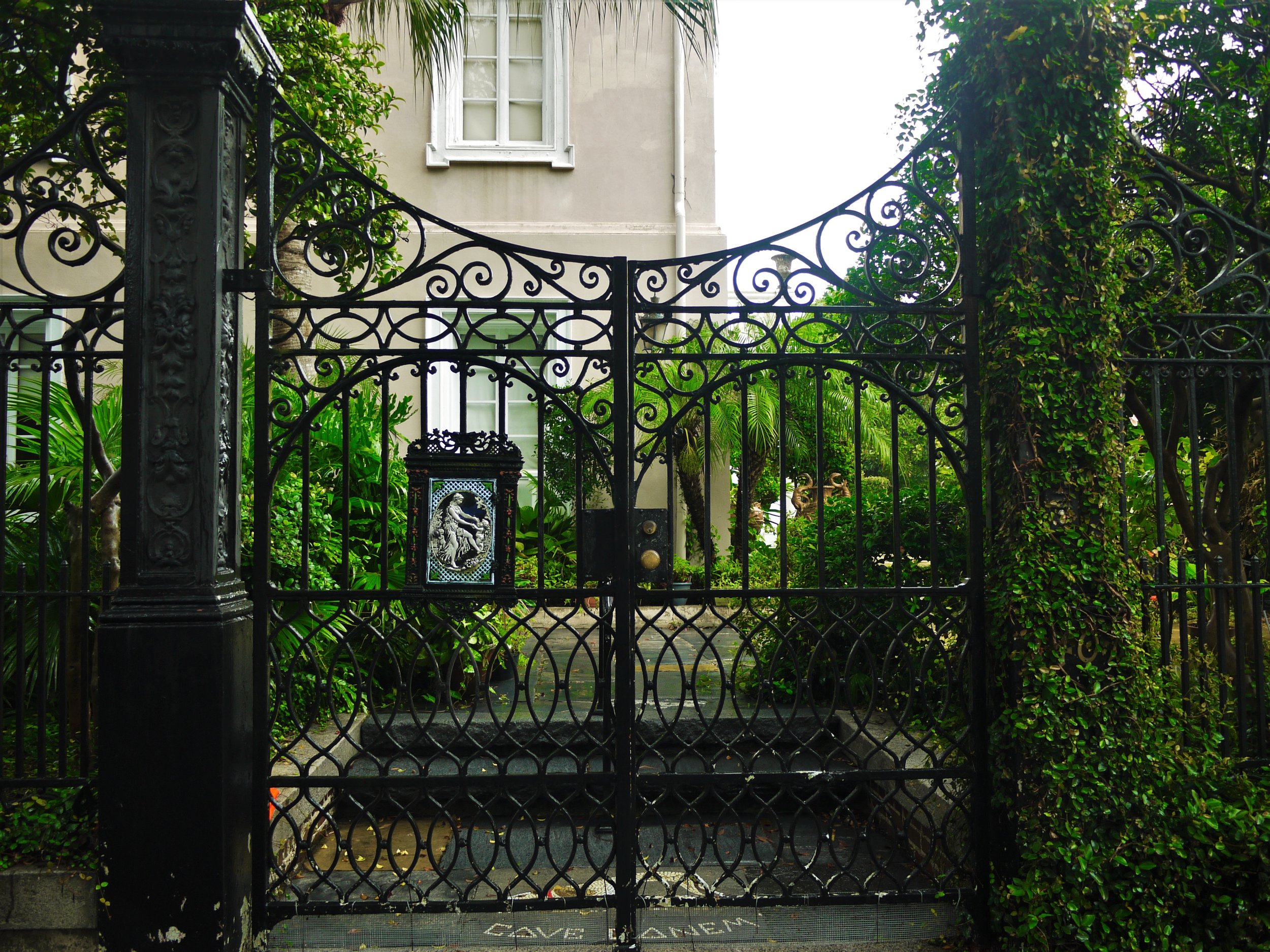 P1060221 (2).JPG