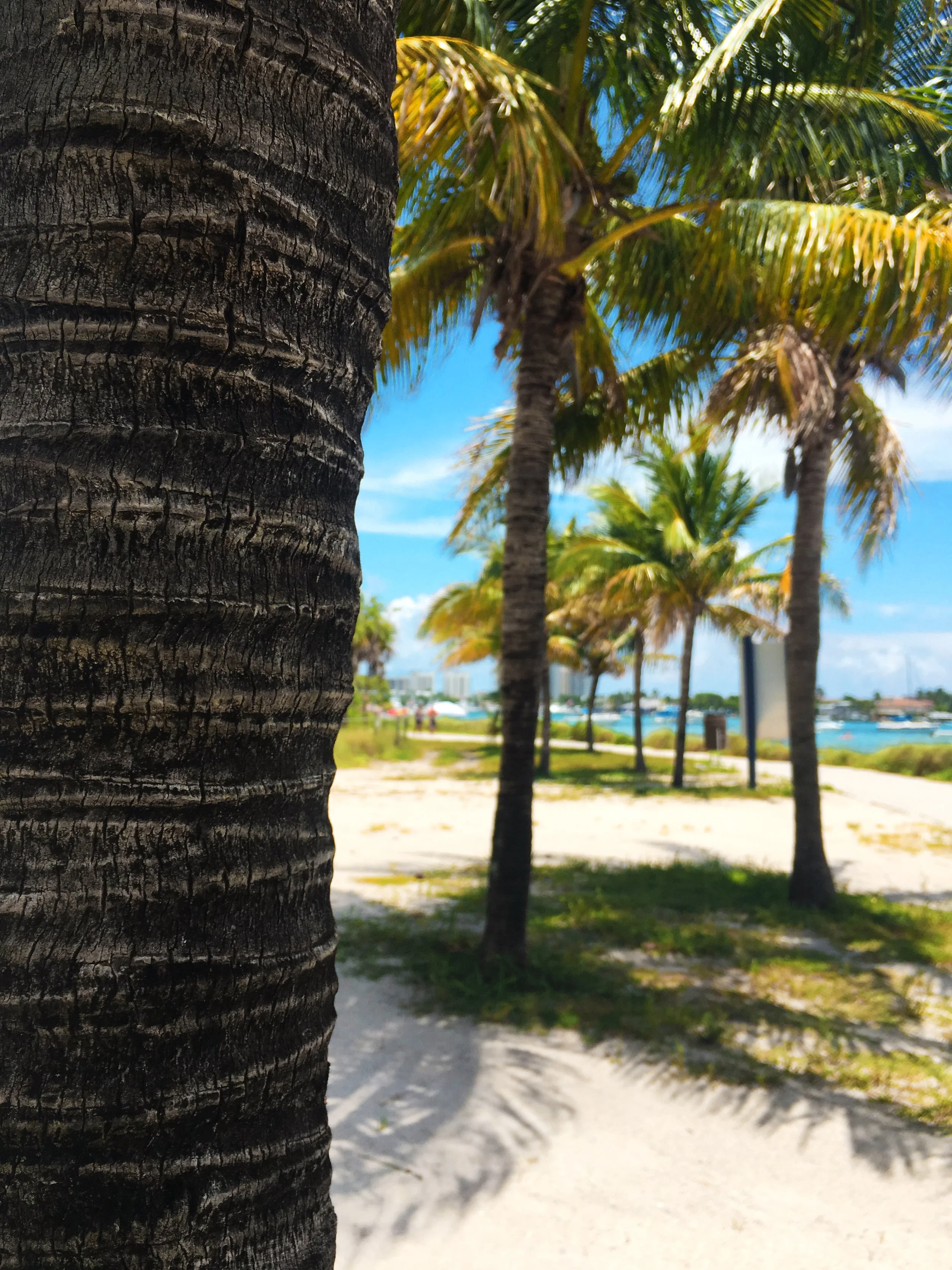 12 of Florida's Best Kept Secrets: Summer of Fun