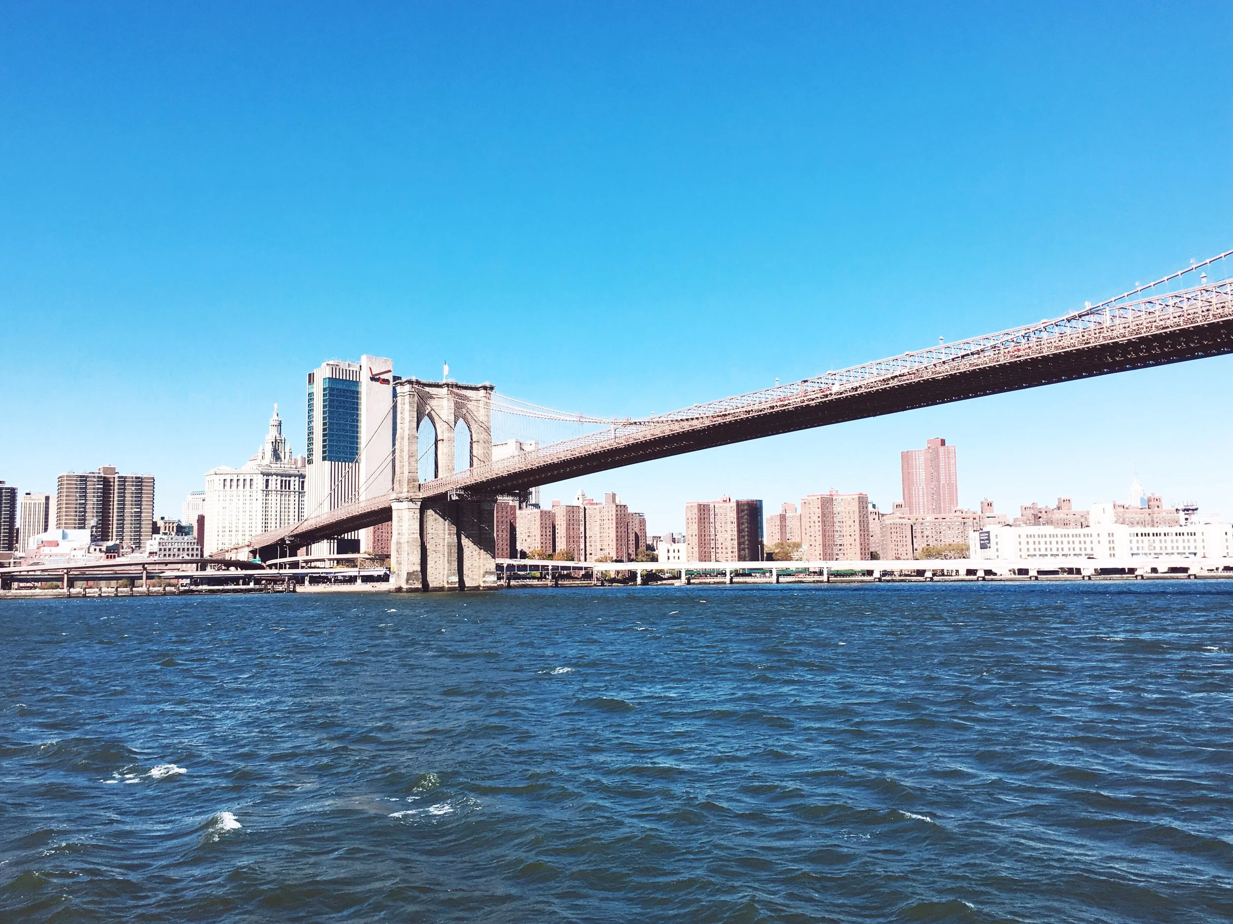 Halloween Weekend in Brooklyn