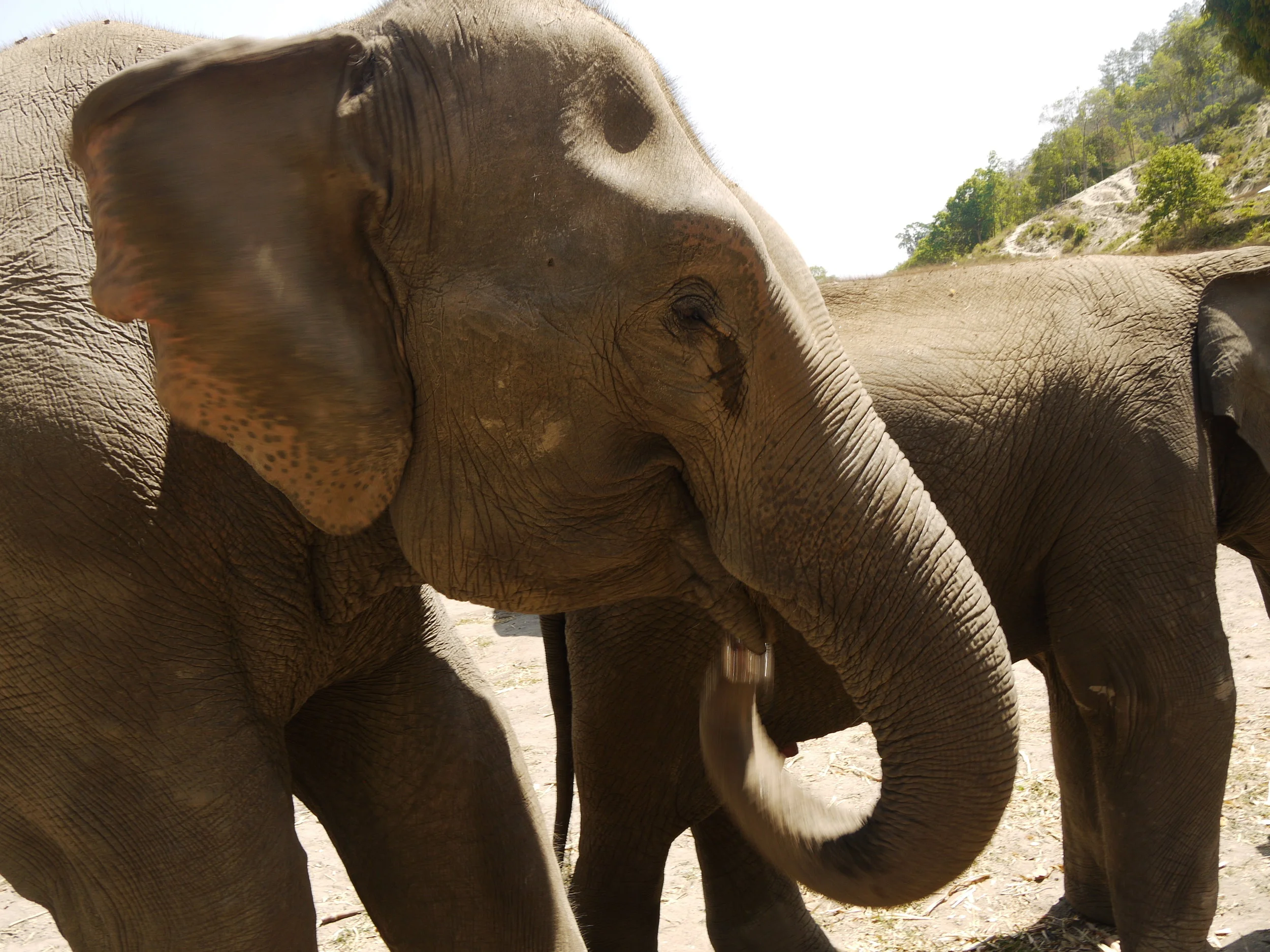 3 Day Itinerary for Chiang Mai