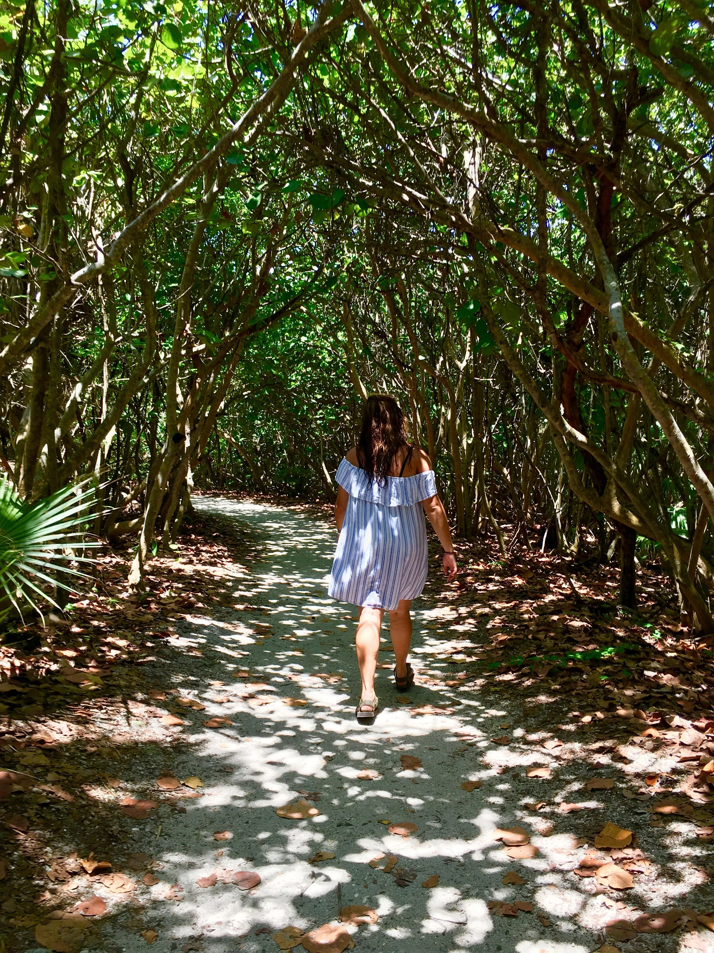 Exploring Florida's Blowing Rocks Preserve