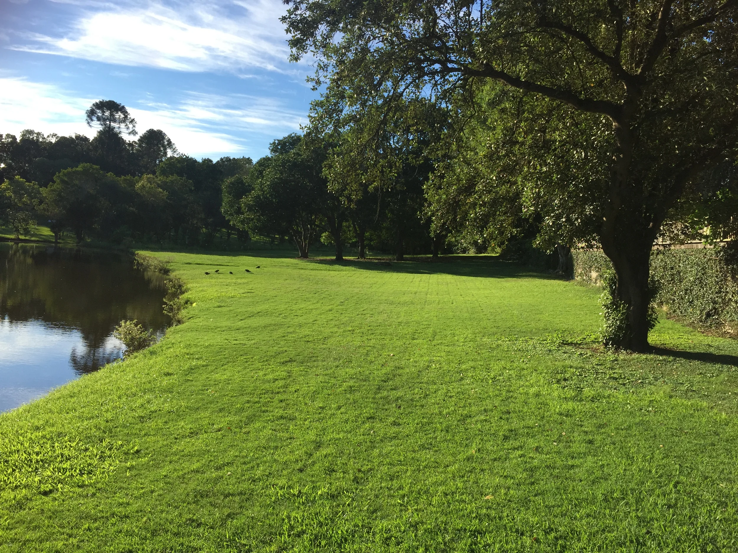 Why Every Step Matters on a Spiritual Journey