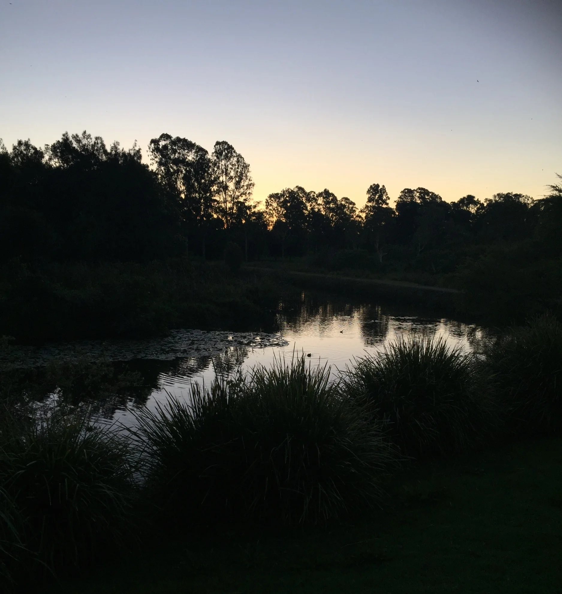 From a Teaching Career to a Spiritually-Based Business - The Big WHY 