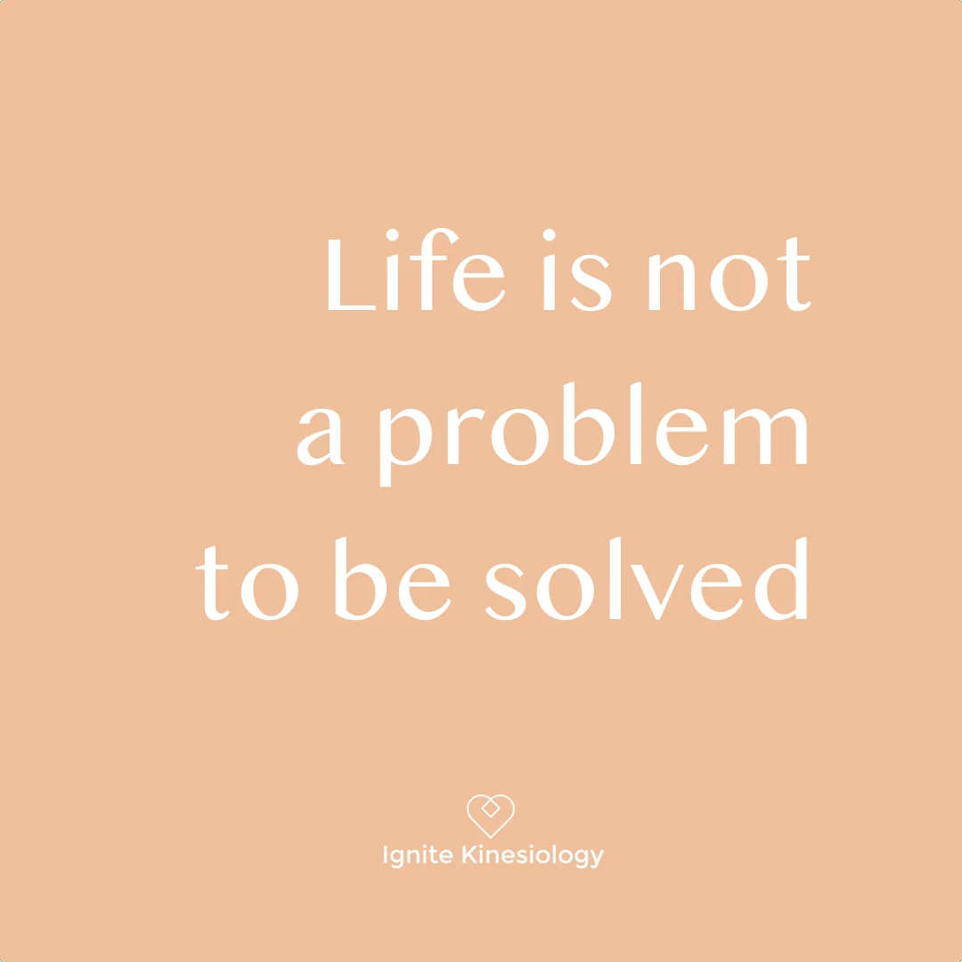 Life is Not a Problem to be Solved