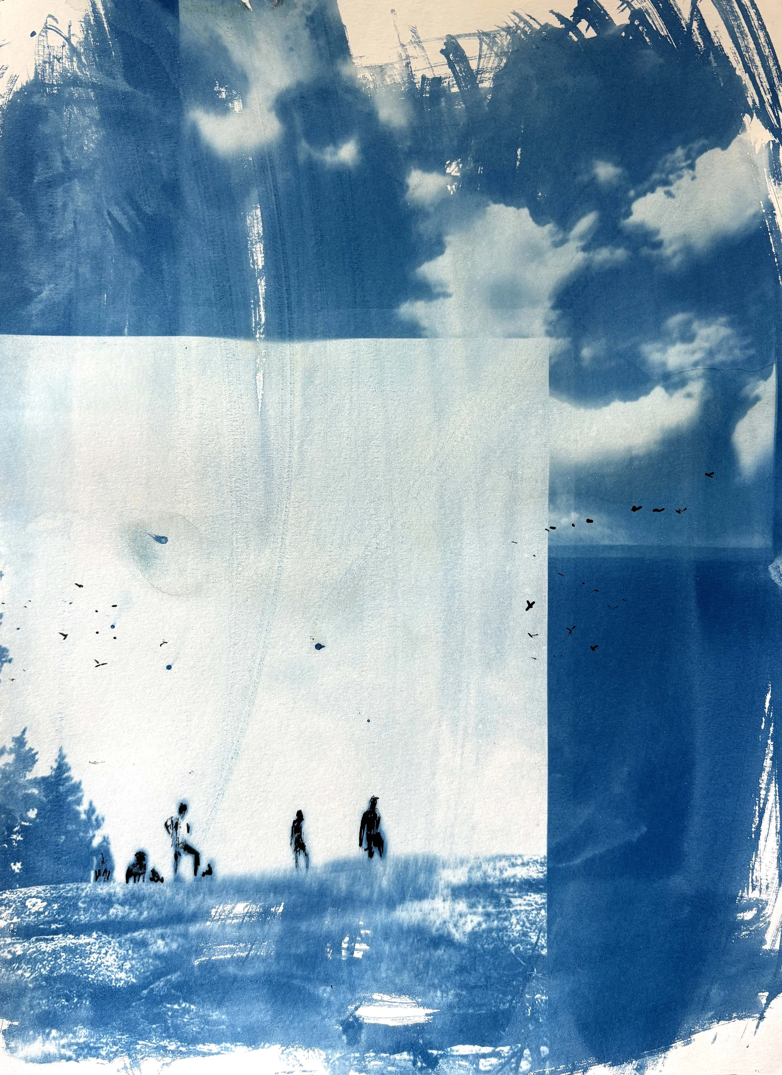  2025  Cyanotype + Ink on paper  11” x 14” 