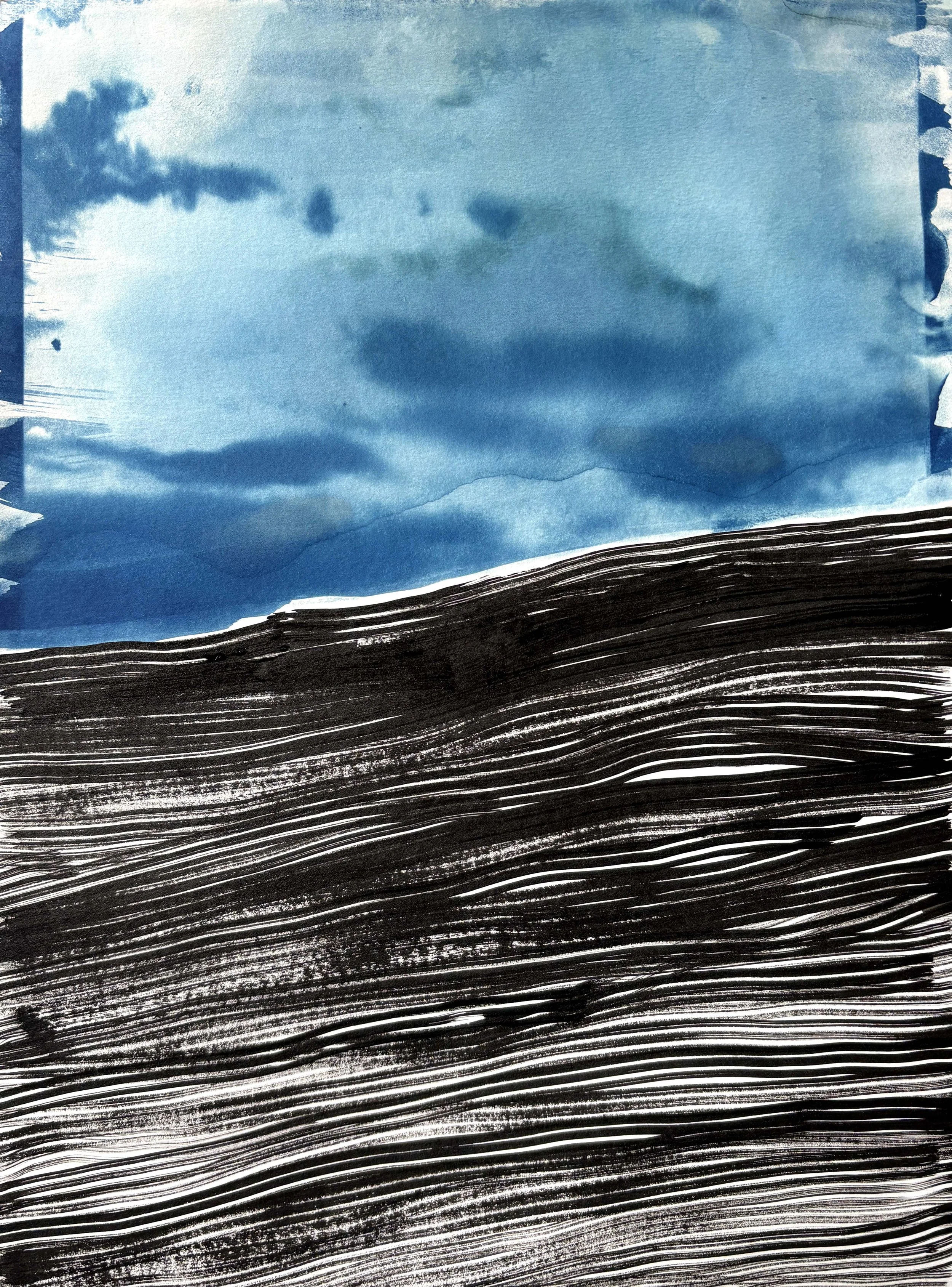  2025  Cyanotype + Ink on paper  11” x 14” 