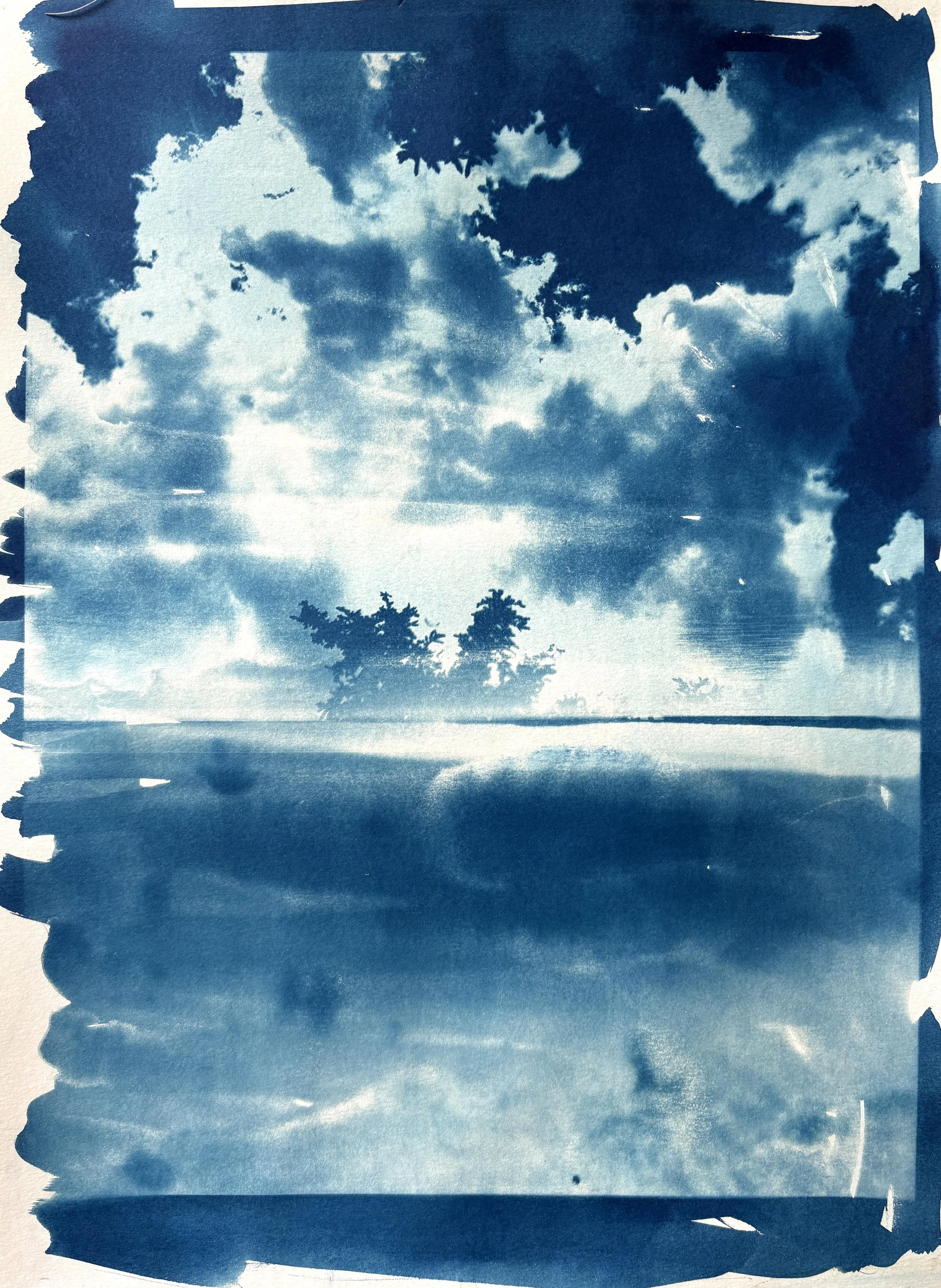  2025  Cyanotype + Ink on paper  11” x 14” 