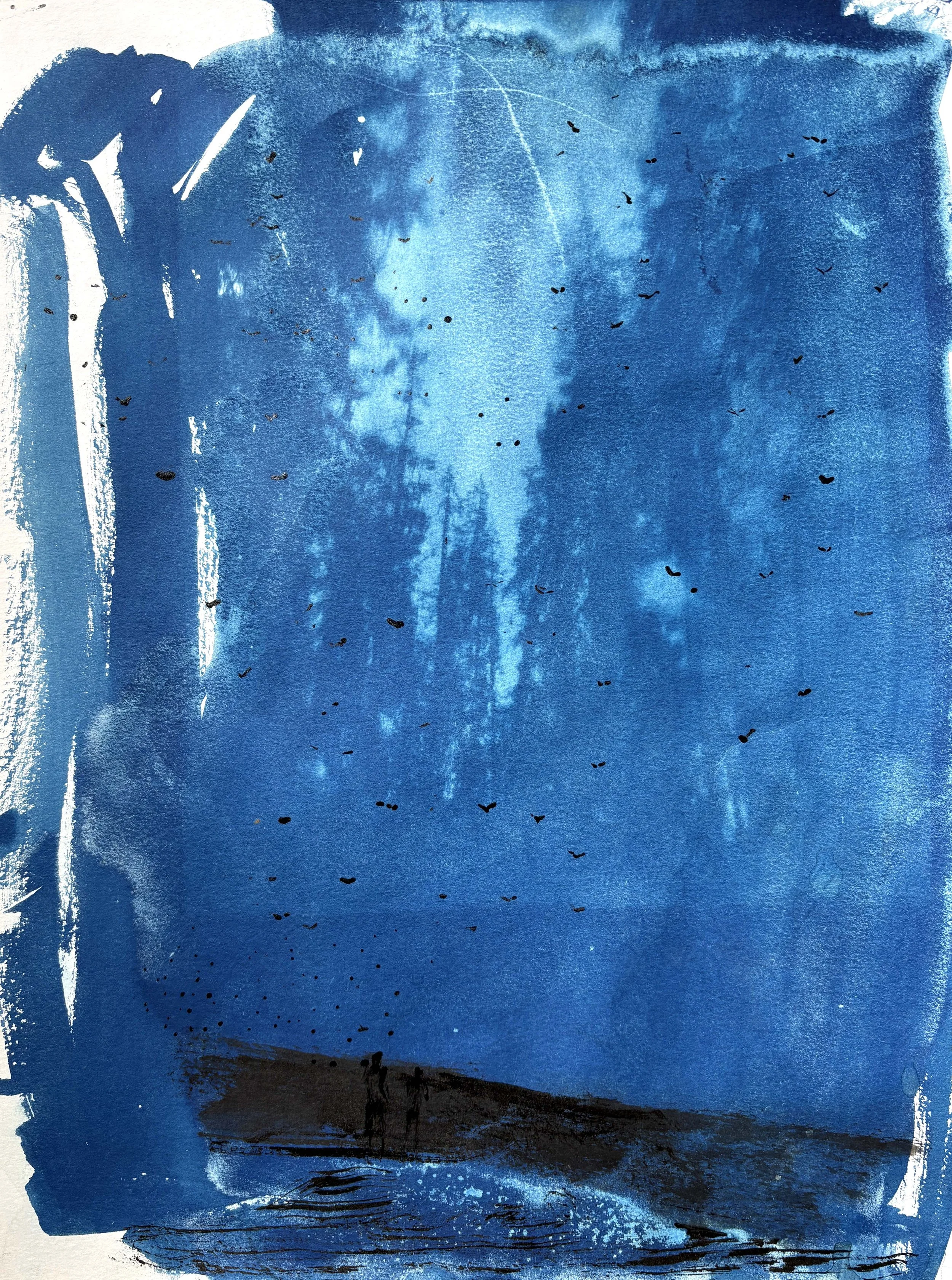  2025  Cyanotype + Ink on paper  11” x 14” 