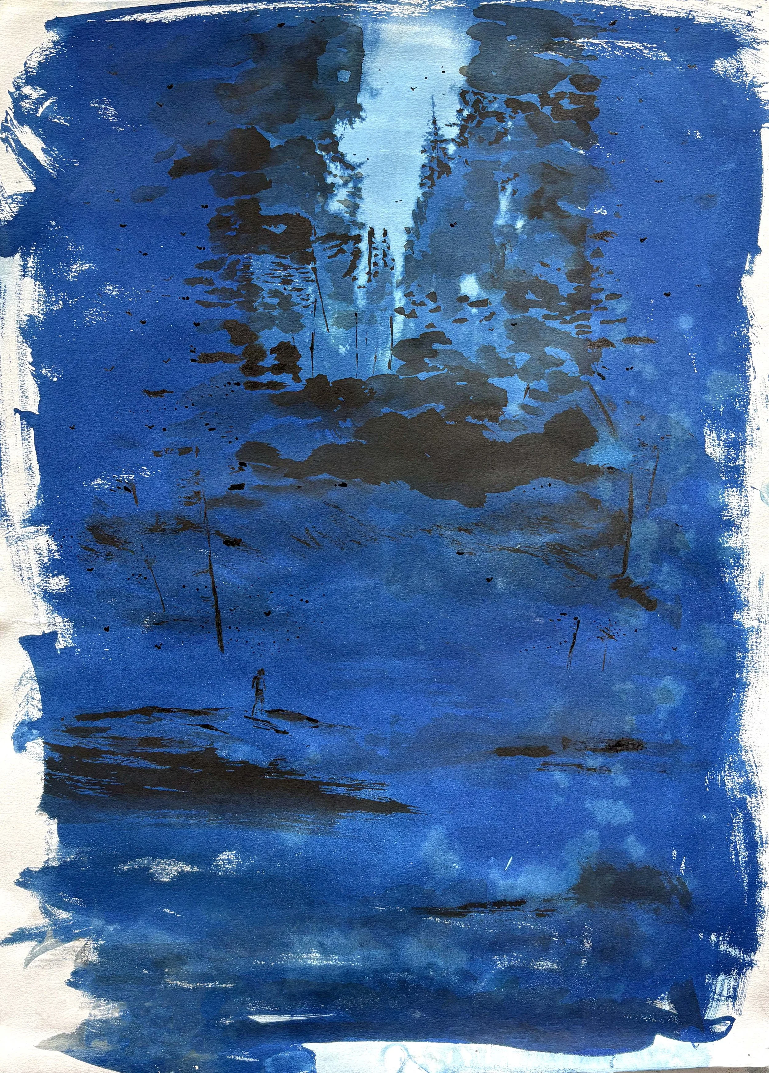  2025  Cyanotype + Ink on paper  18” x 24” 