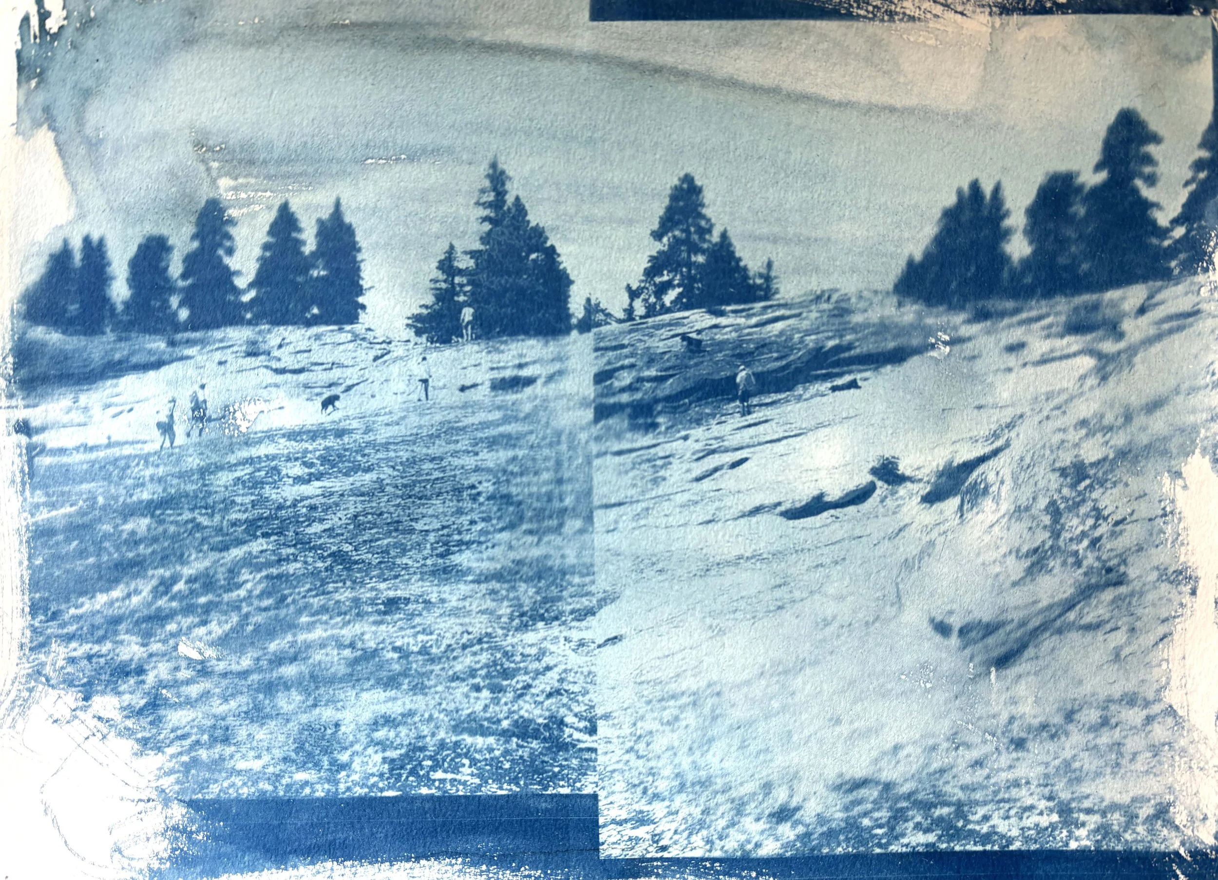  2025  Cyanotype + Ink on paper  11” x 14” 