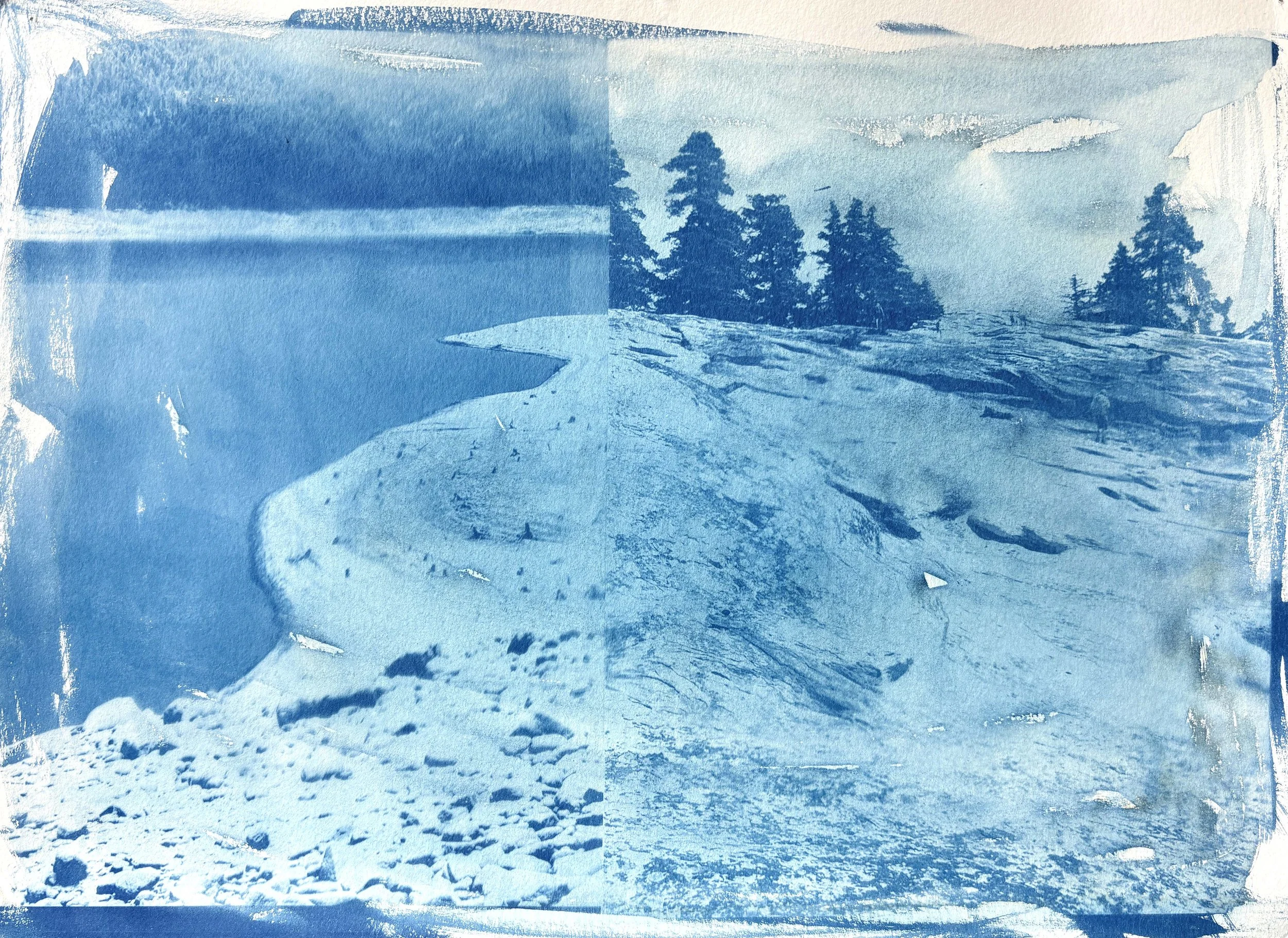  2025  Cyanotype + Ink on paper  11” x 14” 