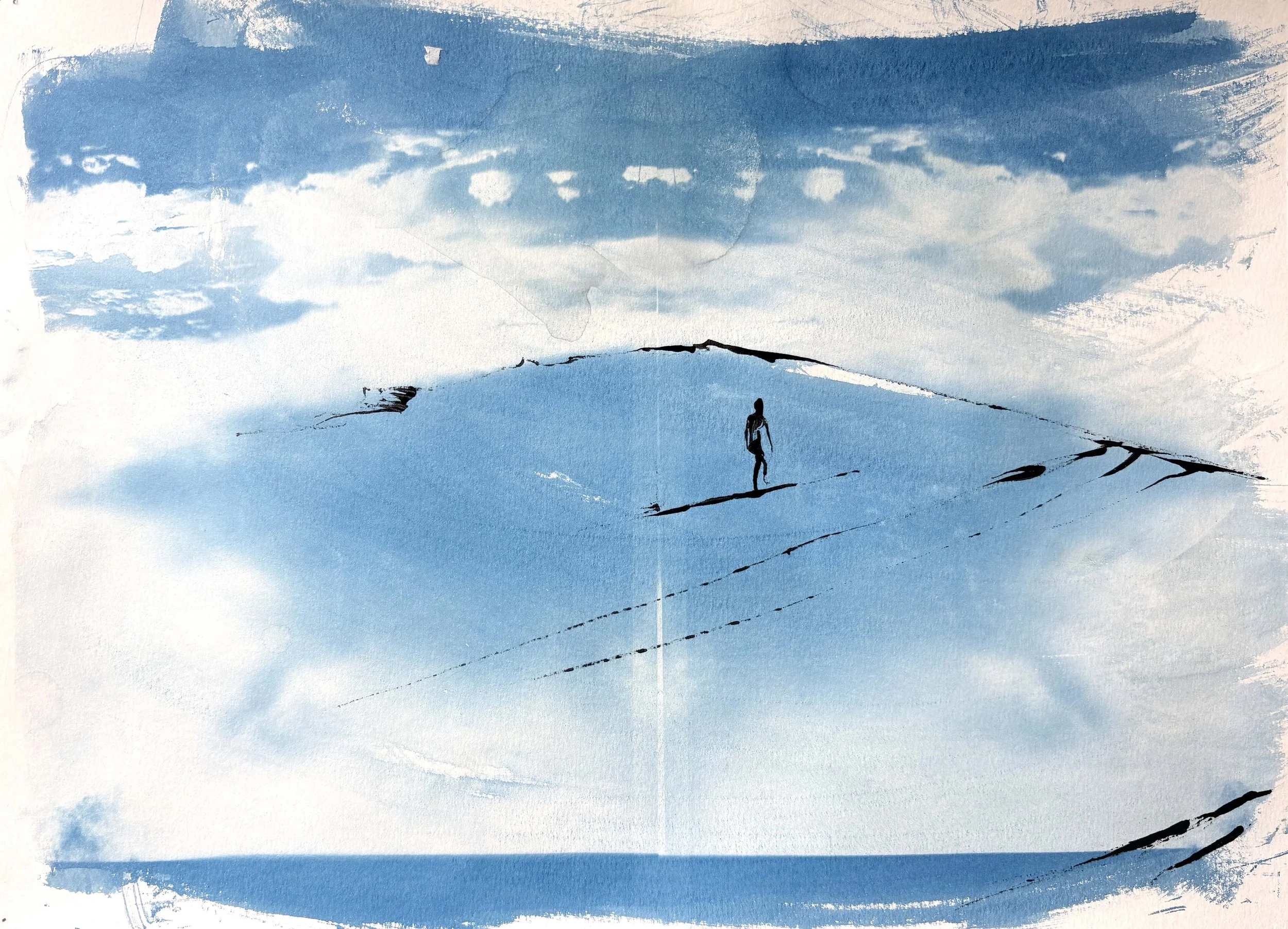  2025  Cyanotype + Ink on paper  11” x 14” 
