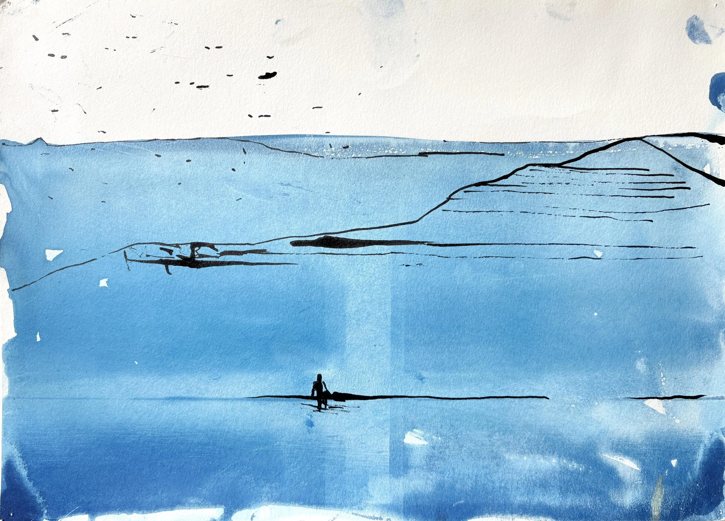  2025  Cyanotype + Ink on paper  11” x 14” 