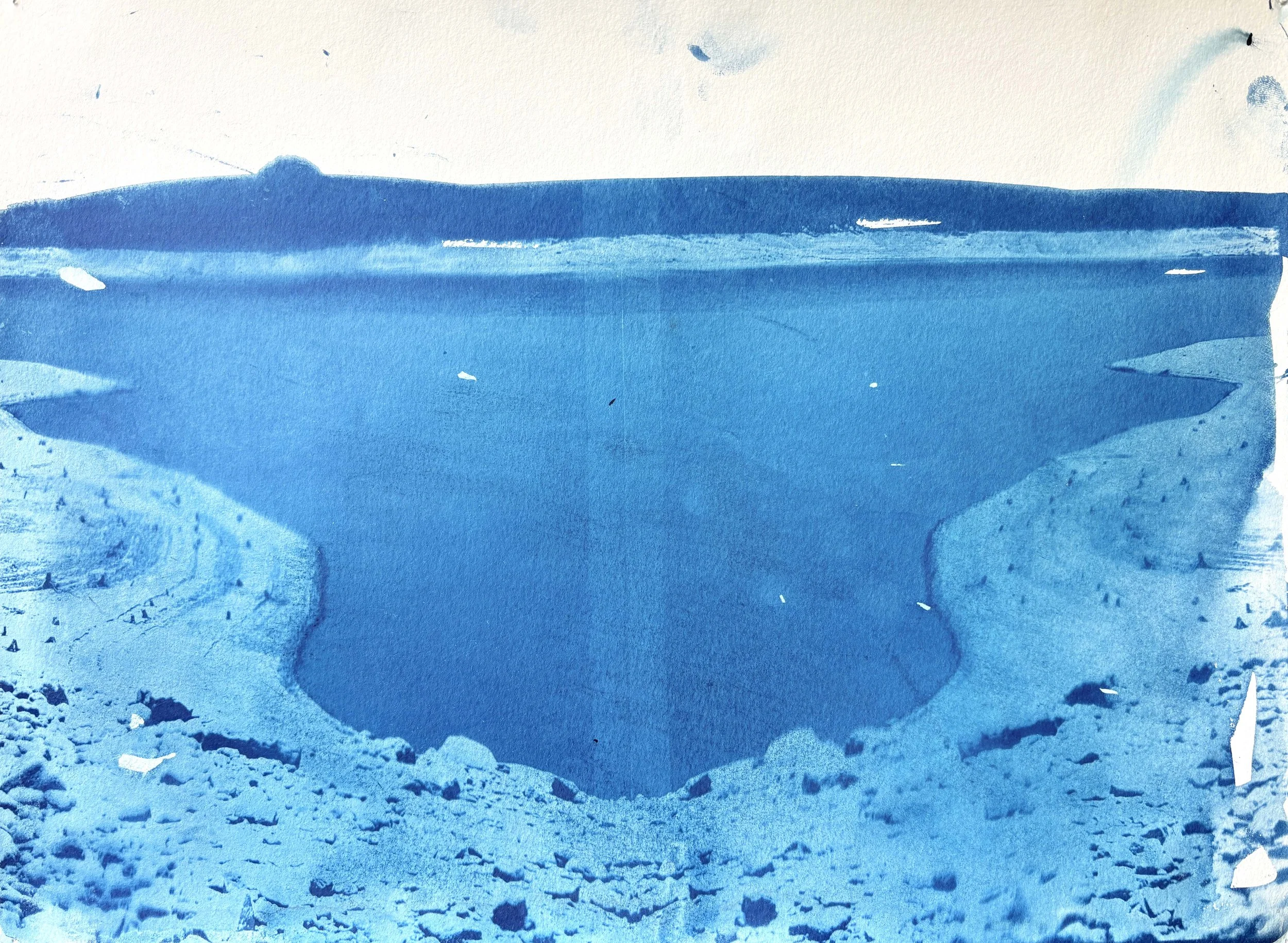  2025  Cyanotype + Ink on paper  11” x 14” 