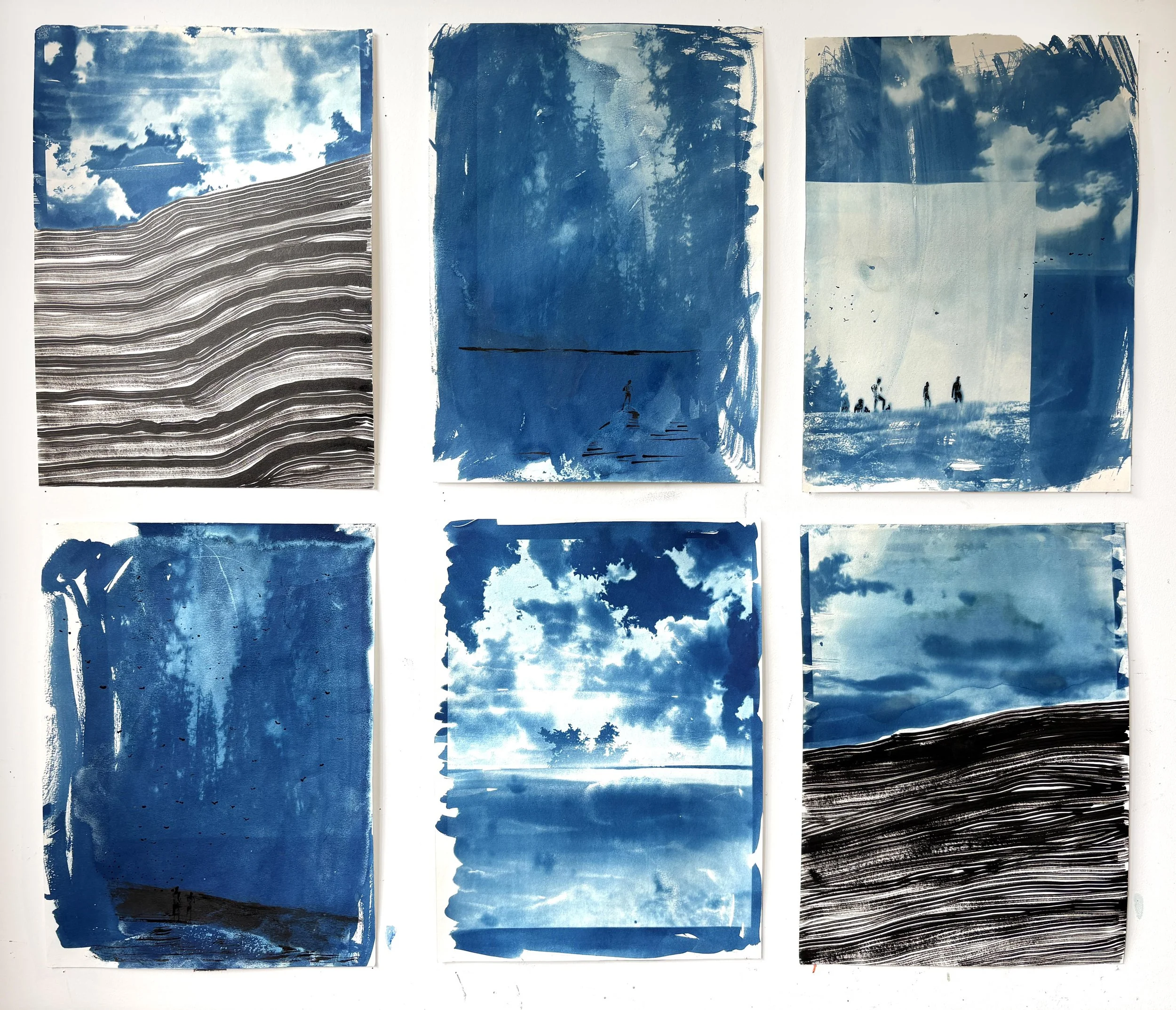  2025  Cyanotype + Ink on paper  11” x 14” 