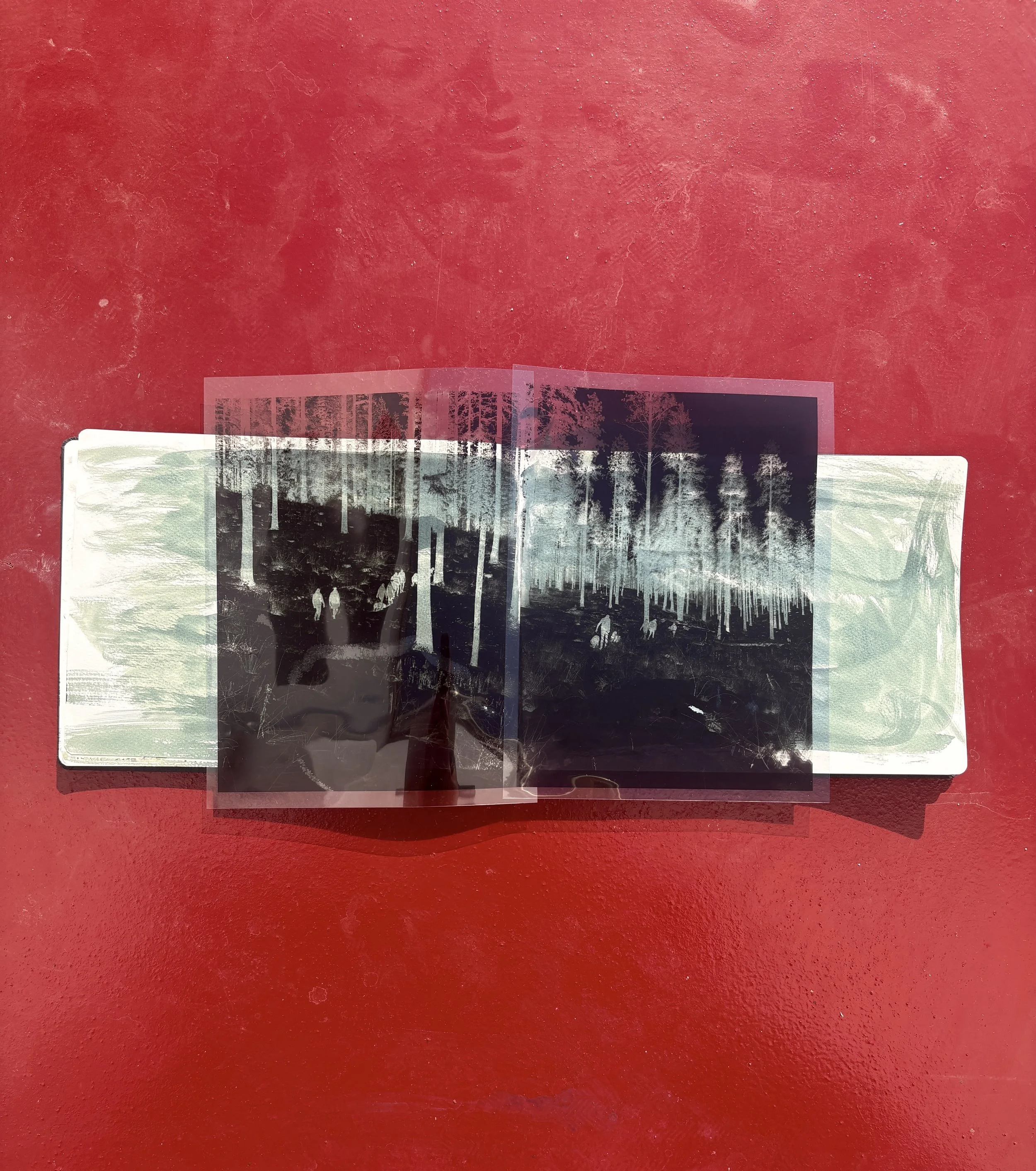  Cyanotype Process 