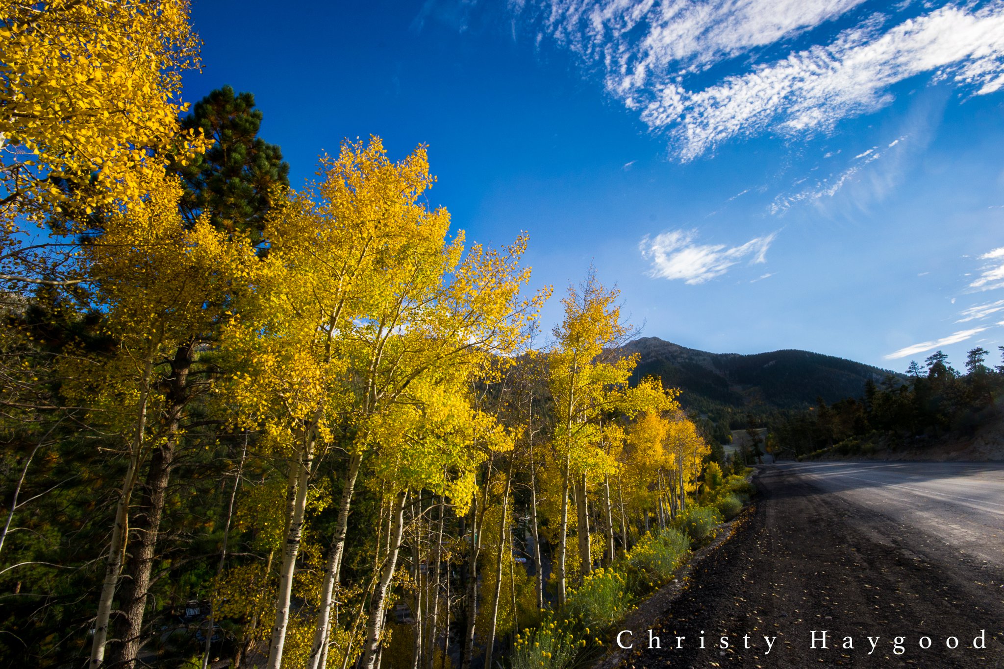 Taking the road less traveled