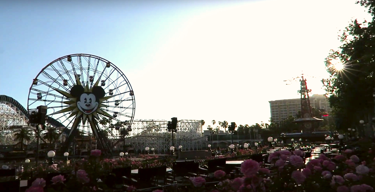 Disneyland 