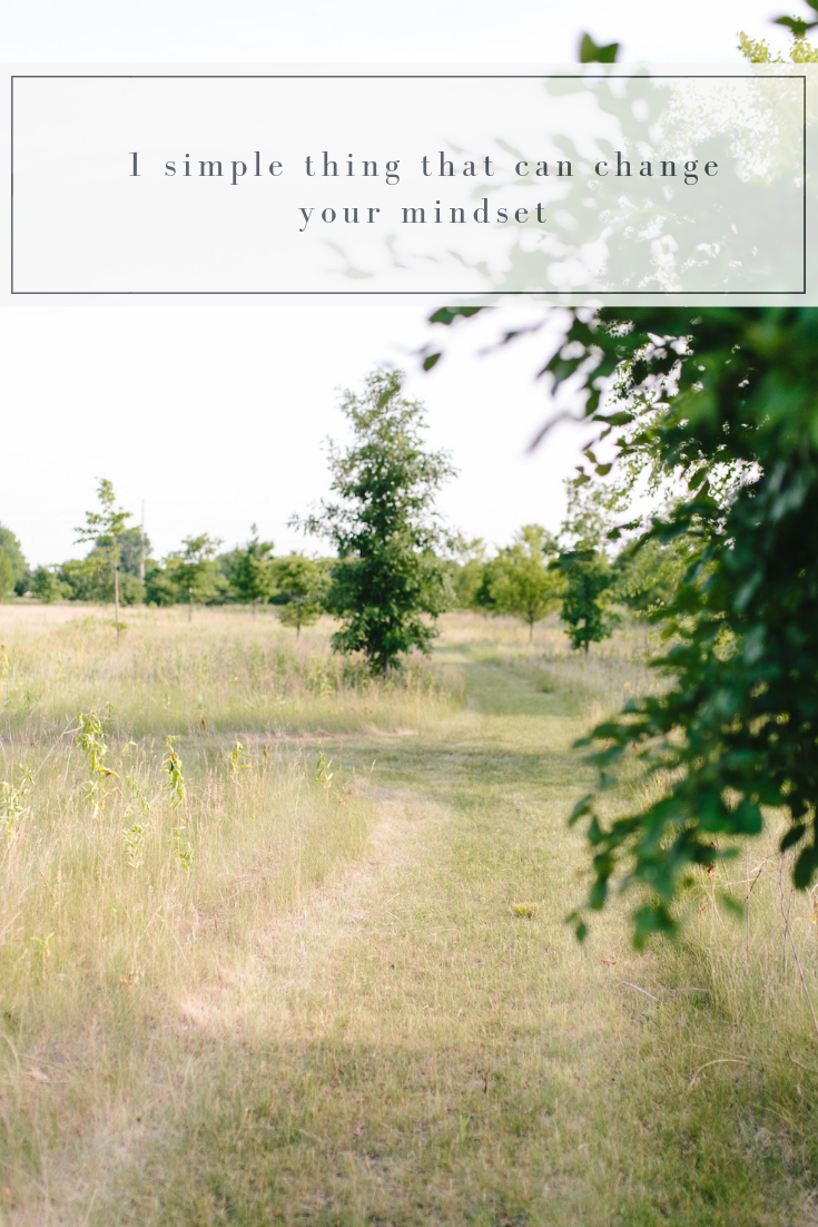 Blog Post (vertical)-3.png