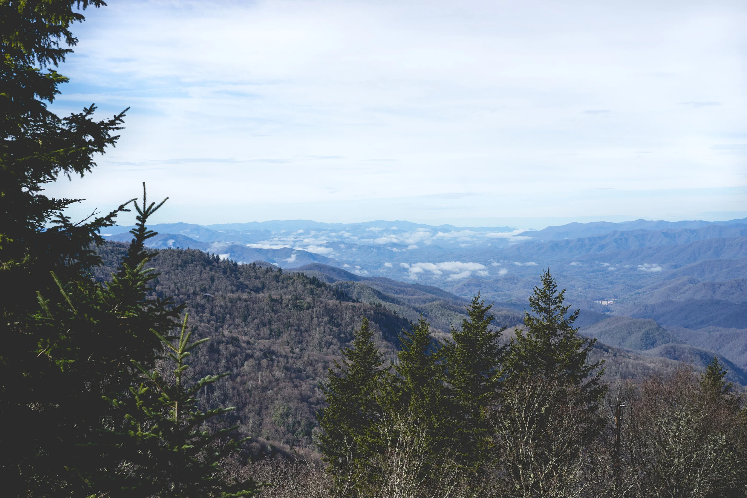 smokies.jpg