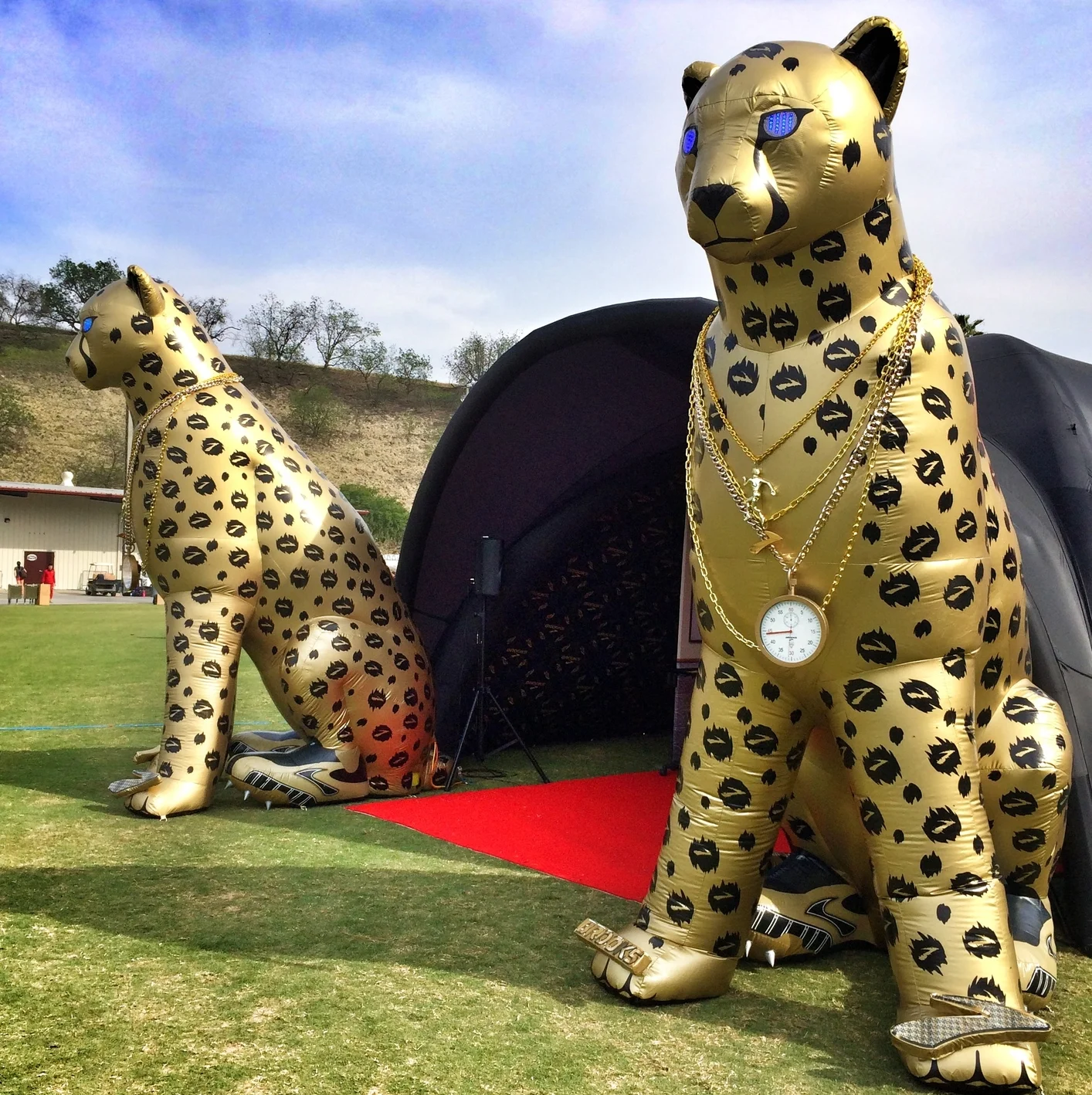 brooks running cheetah