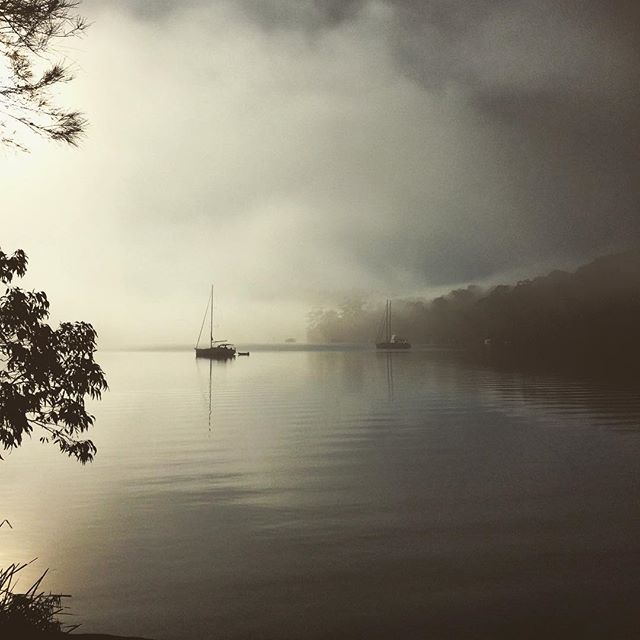 Sydney fog #sydney #clouds #cinematic #sunrise #landscapelovers #sydneyharbour #sydneylocal #igers #igdaily