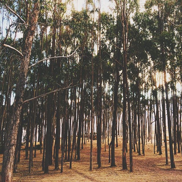 Hills of Cusco #nature #goexplore #southamerica