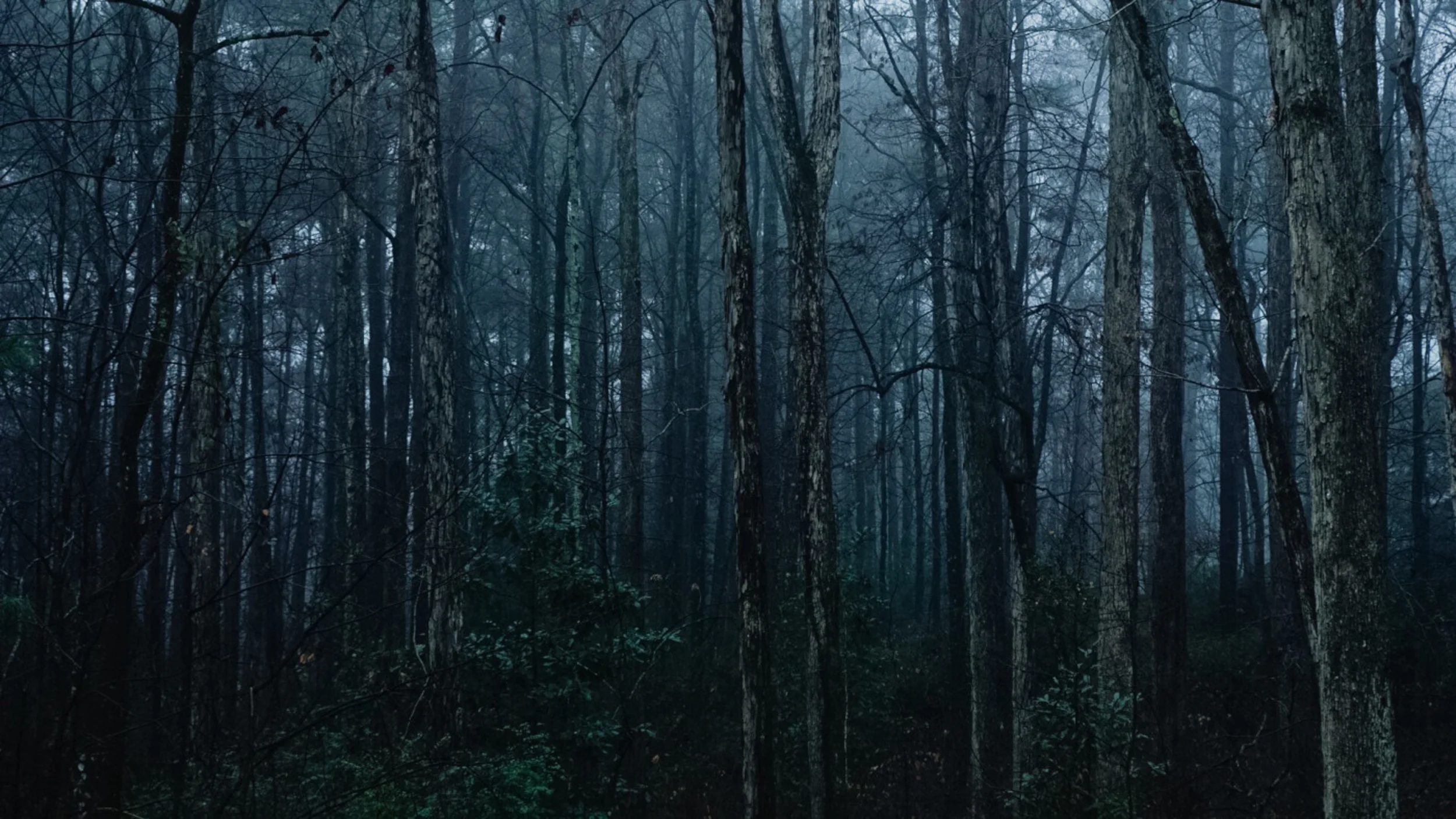 Resolved, To Live With All My Might