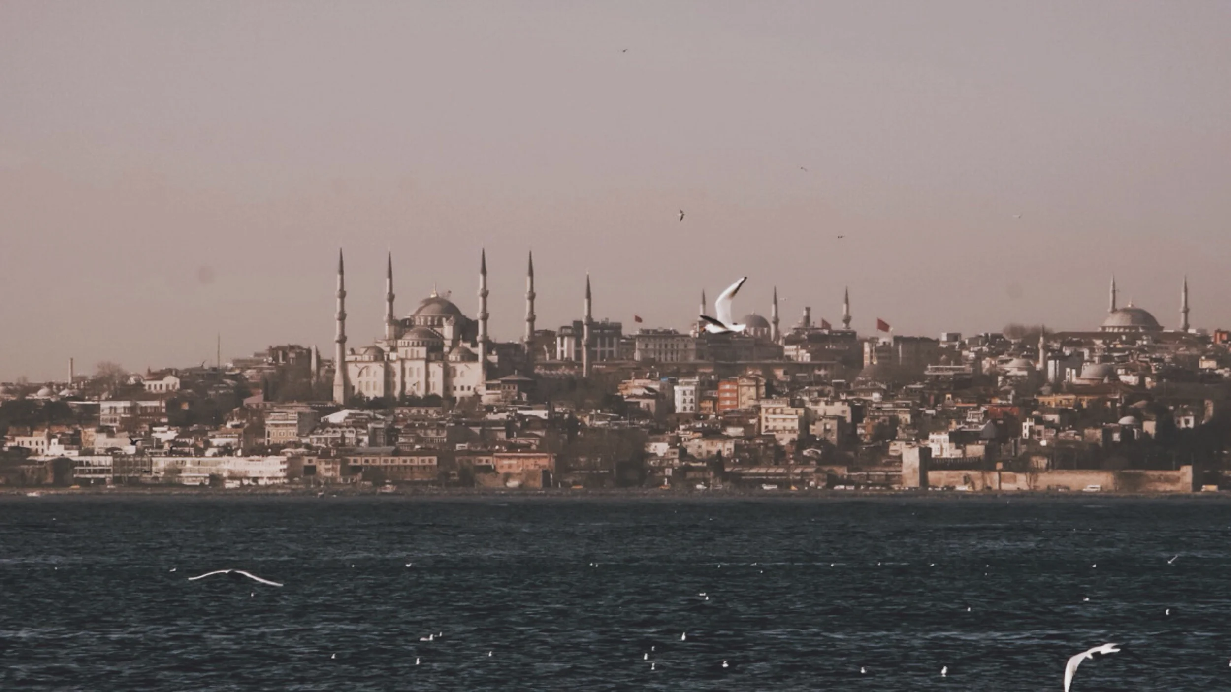 To Speak As I Ought To Speak