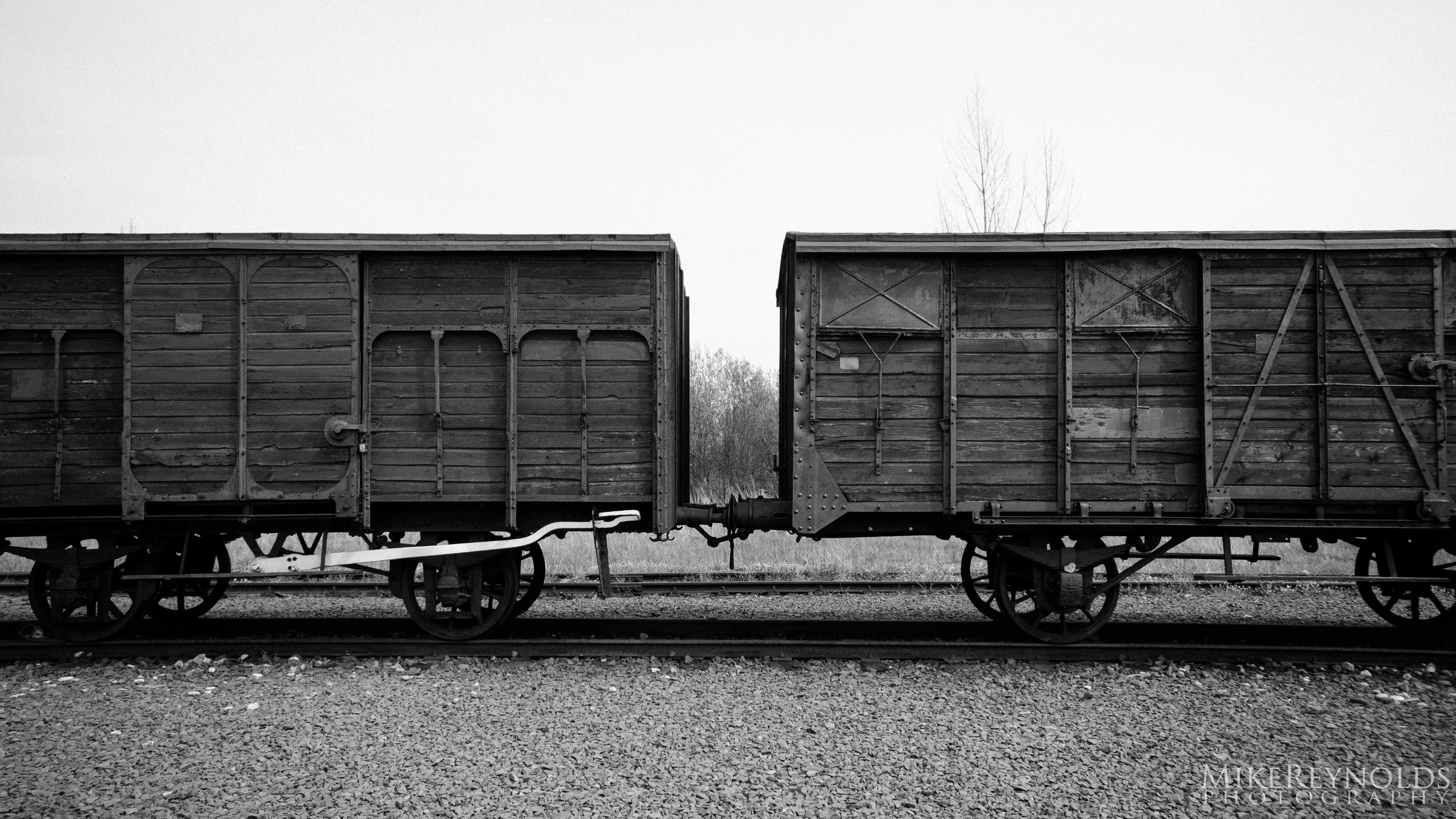 Psalm 96: Worship, Preaching, Exulting, and Warning