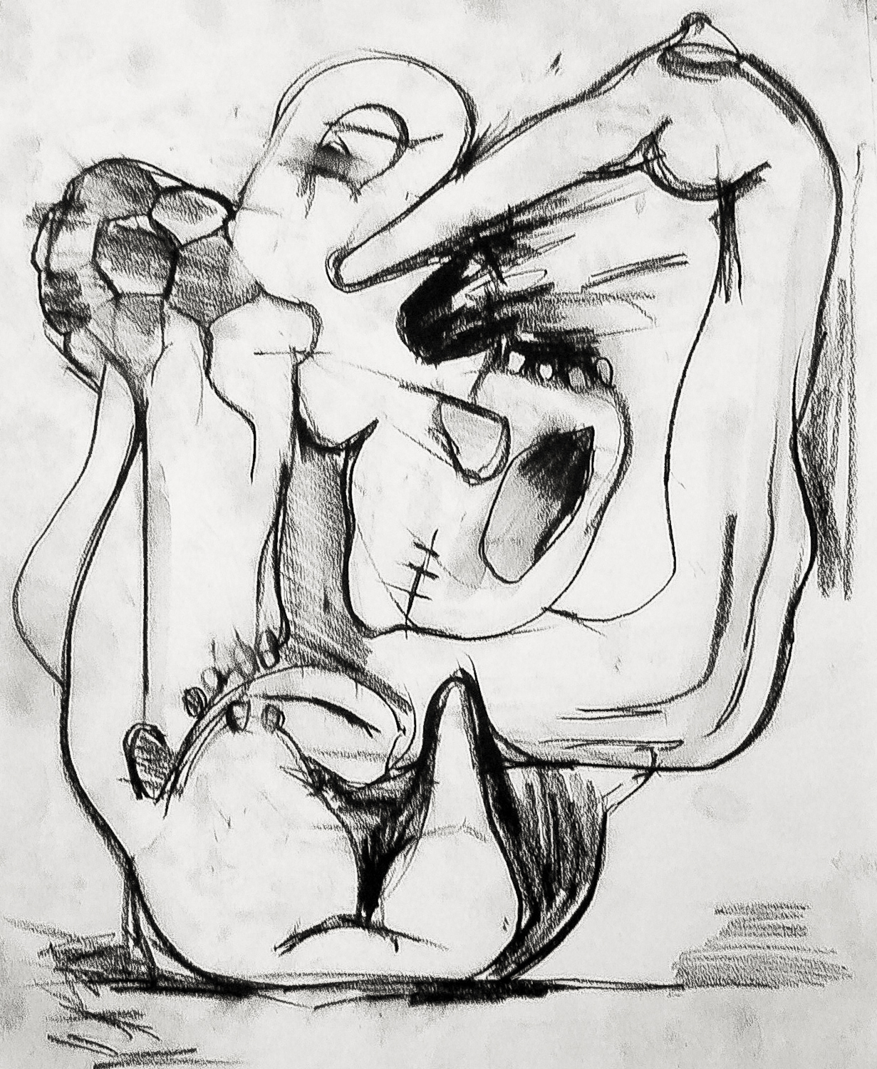    Untitled Drawing , 2002   Conte on paper   12 x 14"  